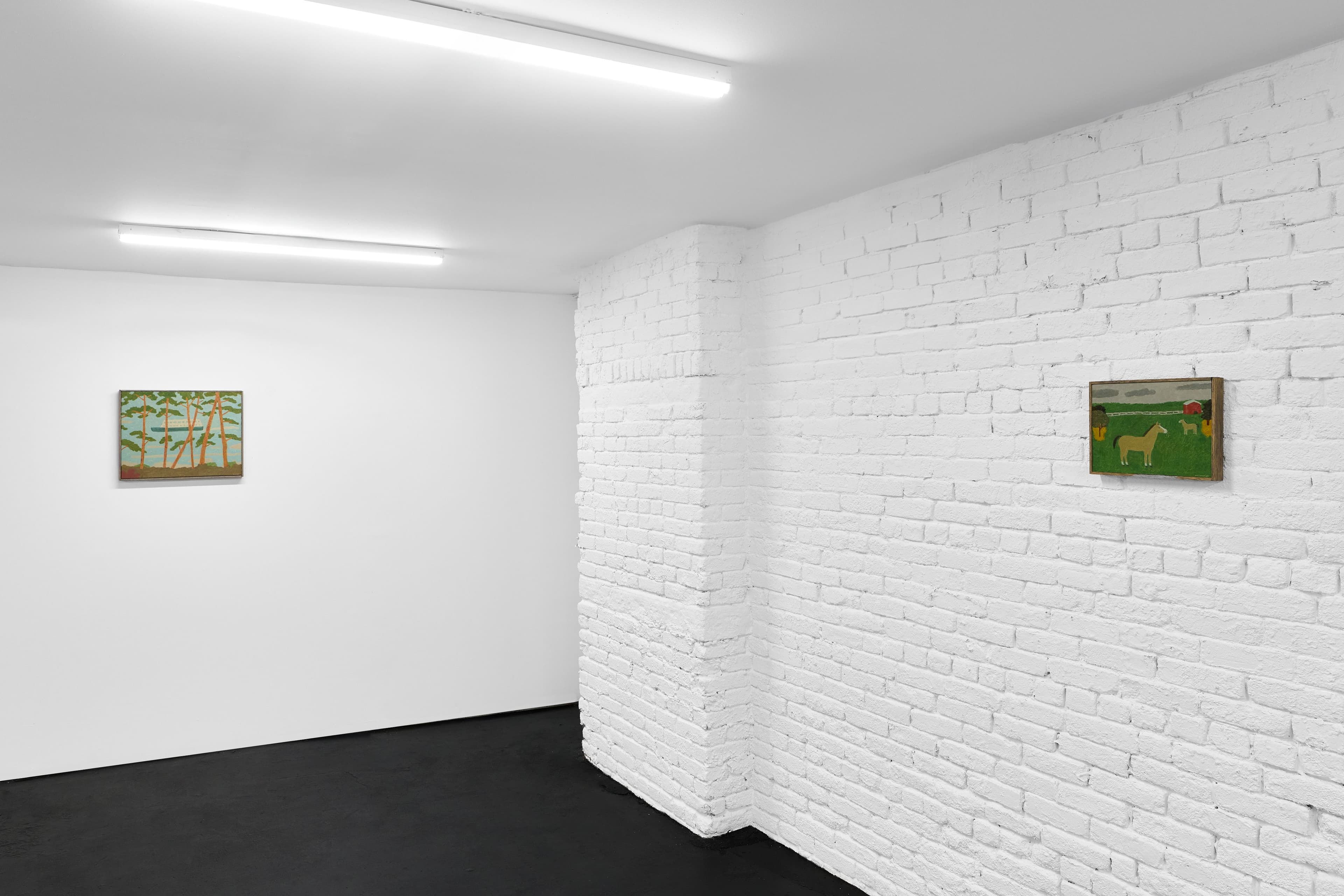 Installation view, Tony Huynh, A Summer's Dream