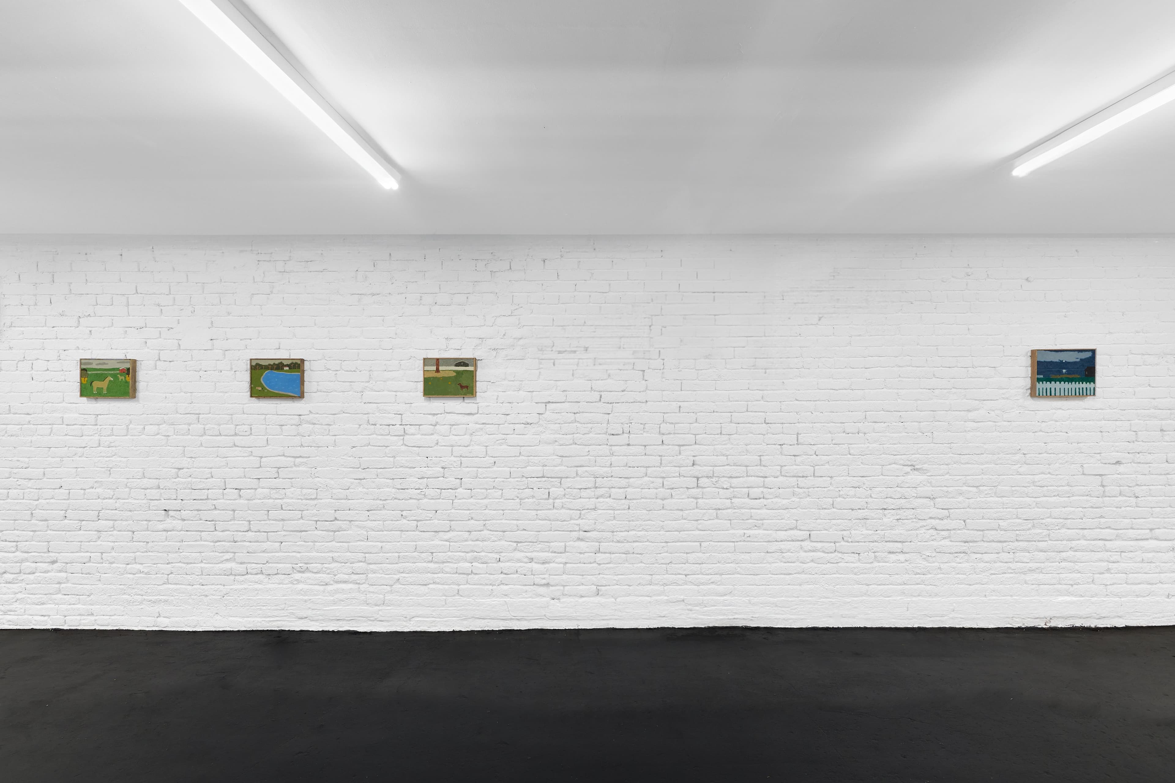 Installation view, Tony Huynh, A Summer's Dream