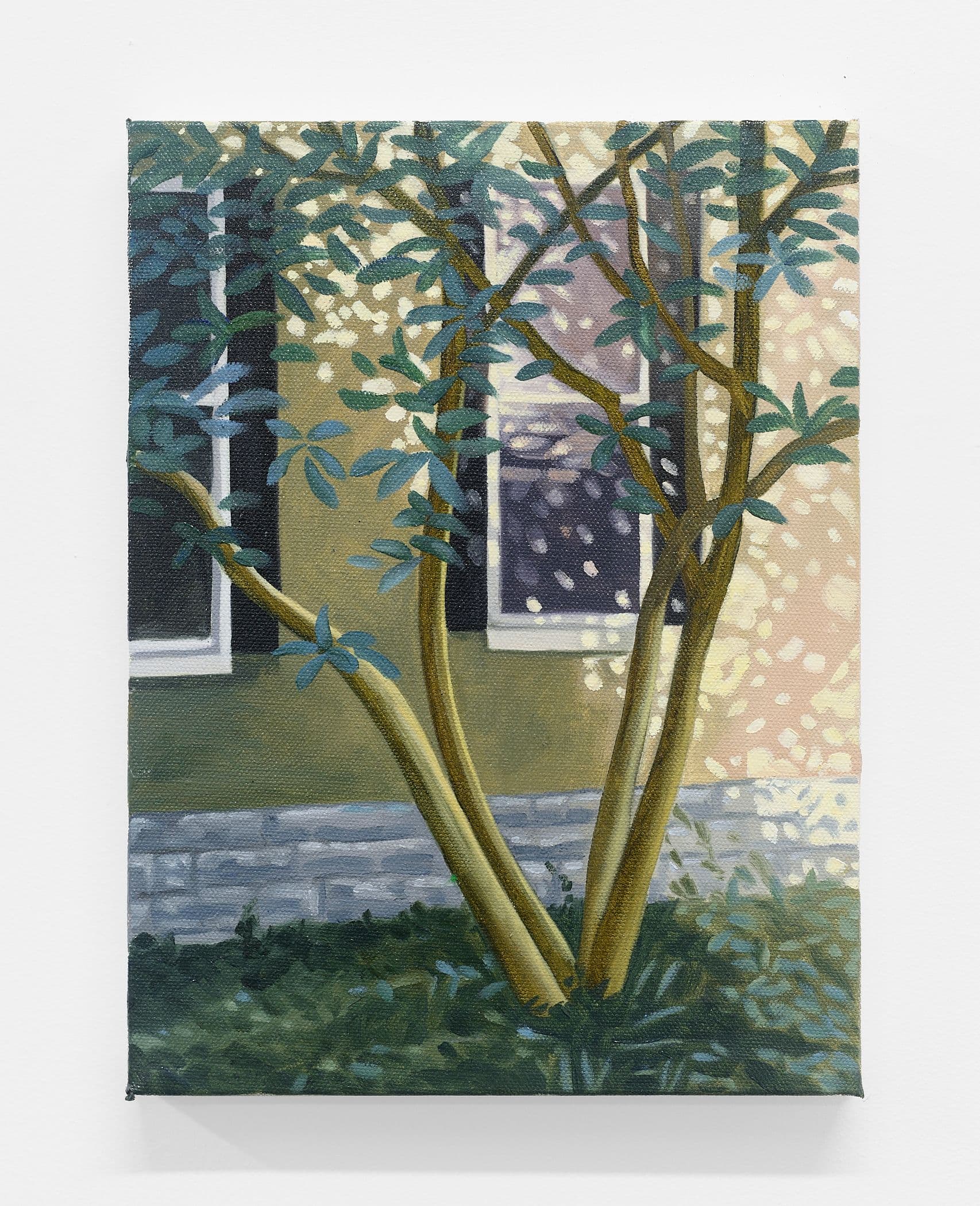 Looking Out The Window