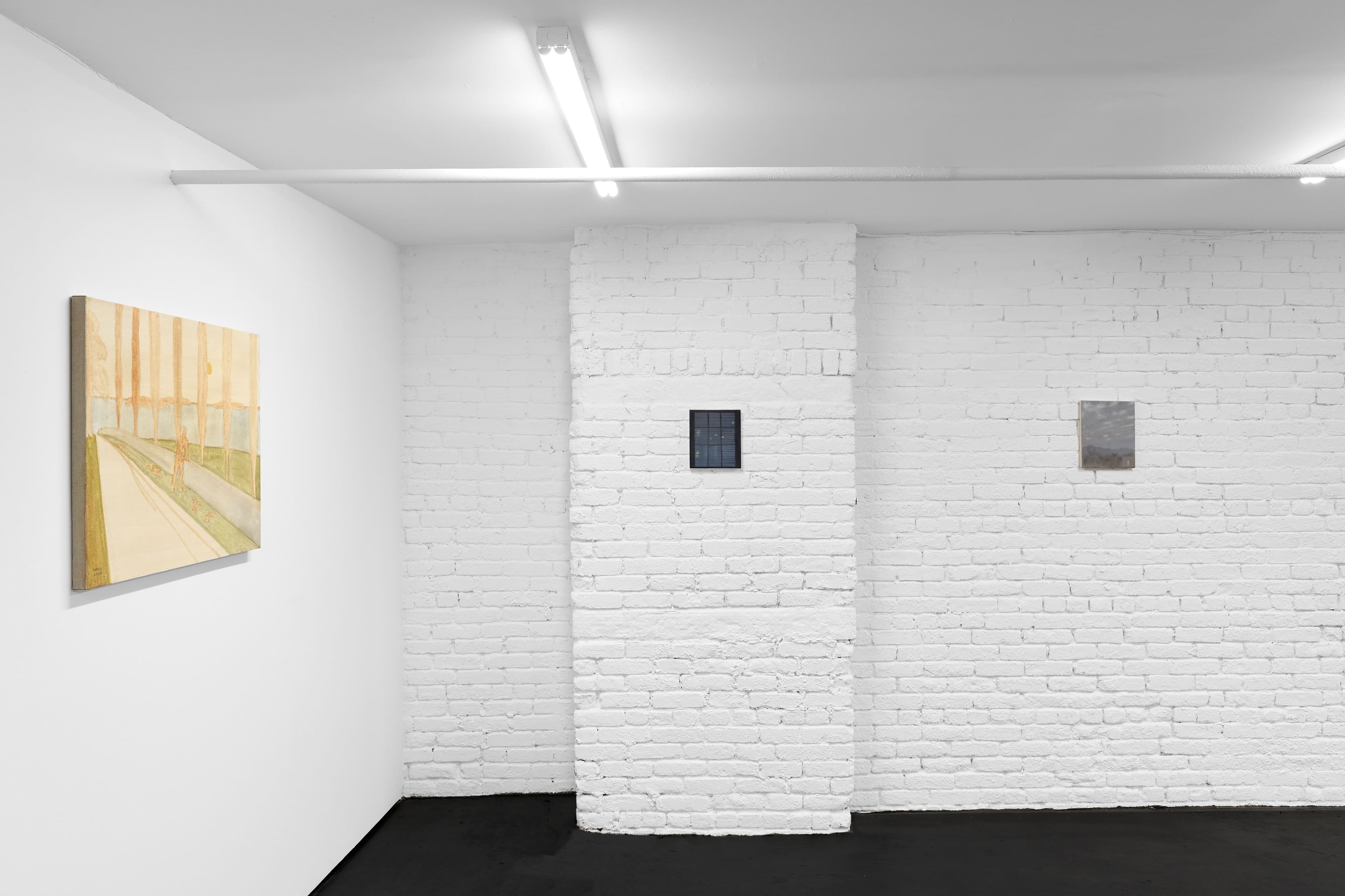 Installation views James Morse & Dylan Williams