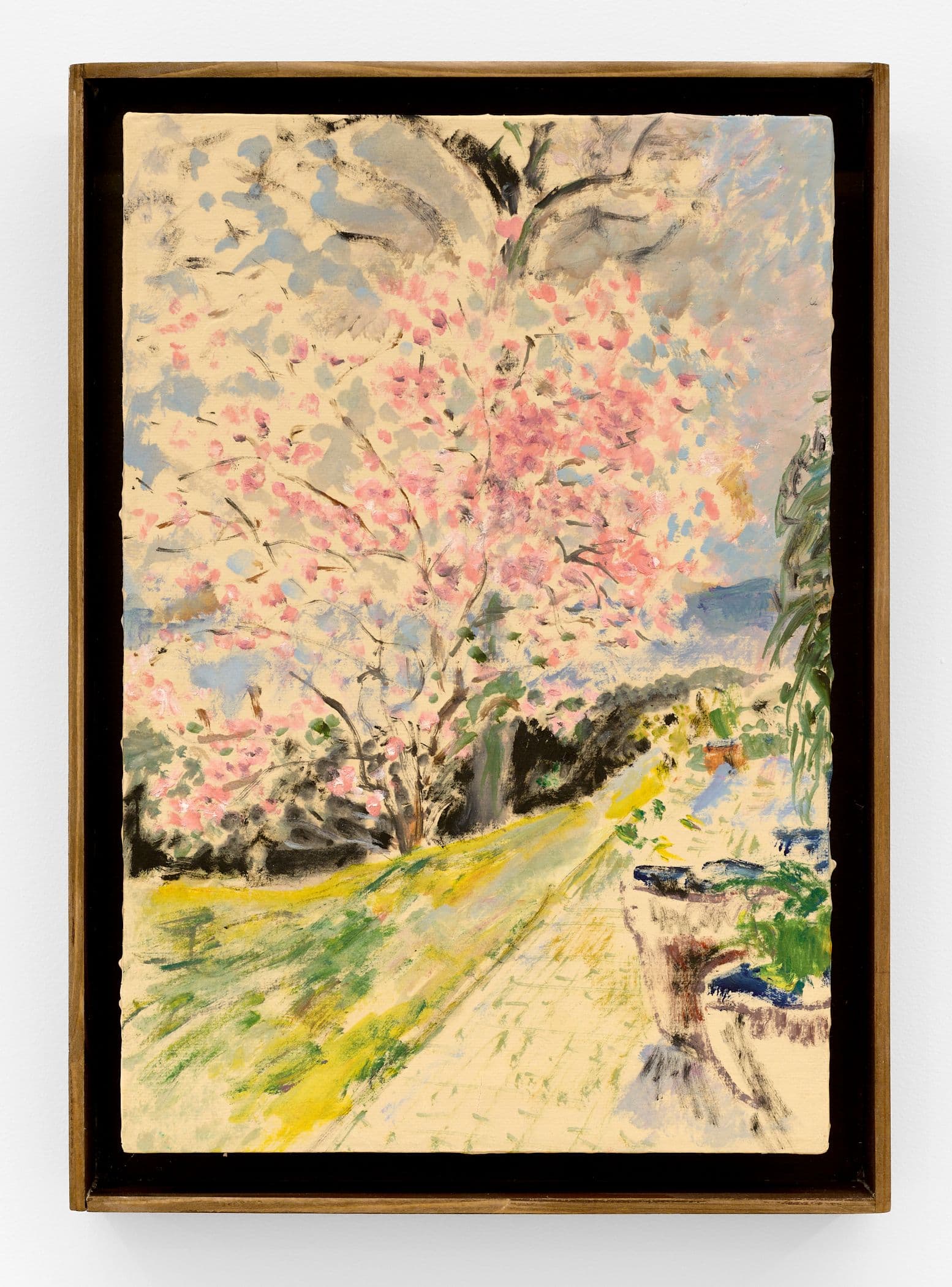 The Magnolia in Early Bloom