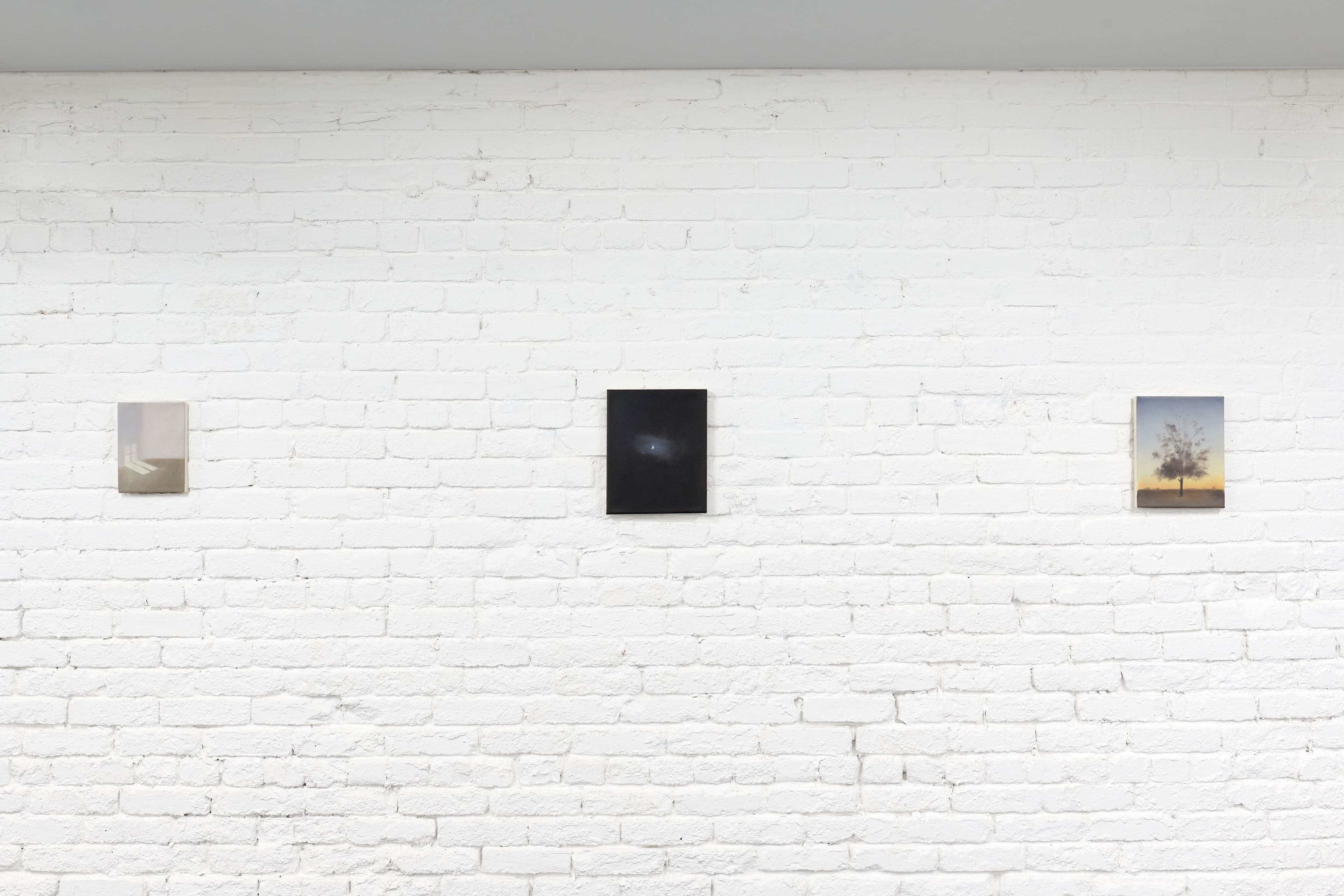 Installation views James Morse & Dylan Williams