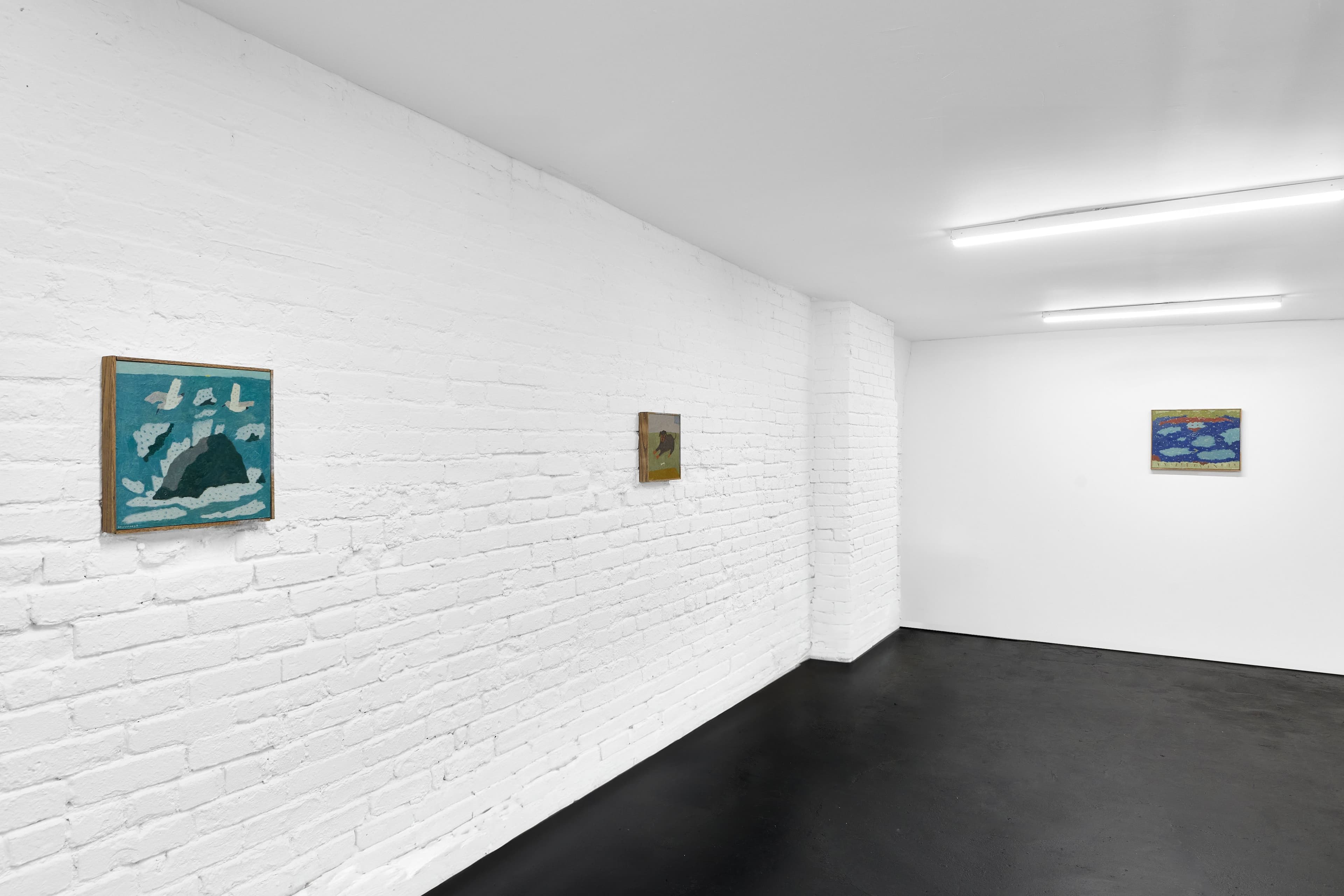 Installation view, Tony Huynh, A Summer's Dream