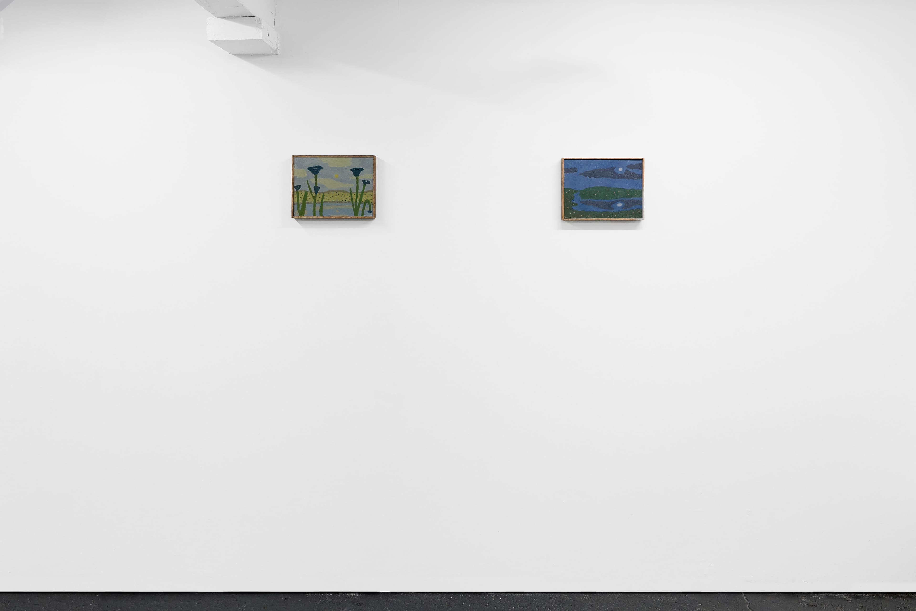 Installation view, Tony Huynh, A Summer's Dream