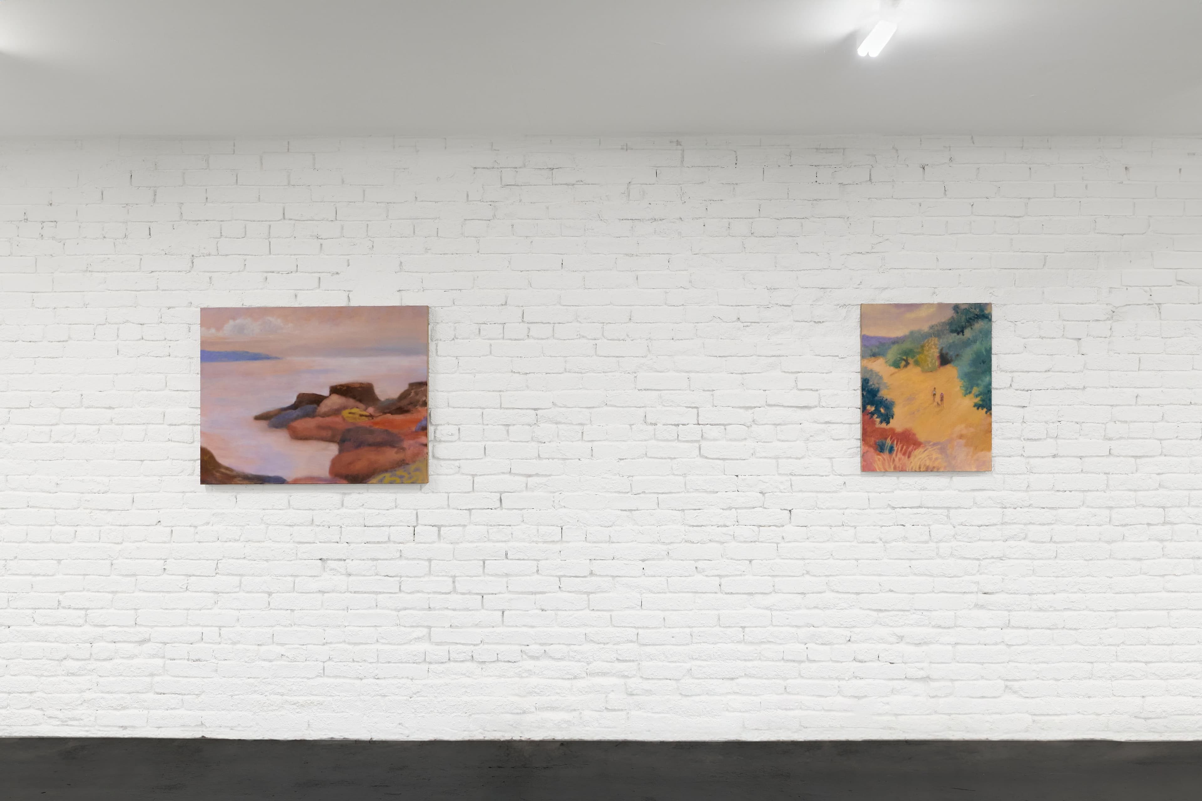 Installation view Sammi Lynch & Kayoon Anderson