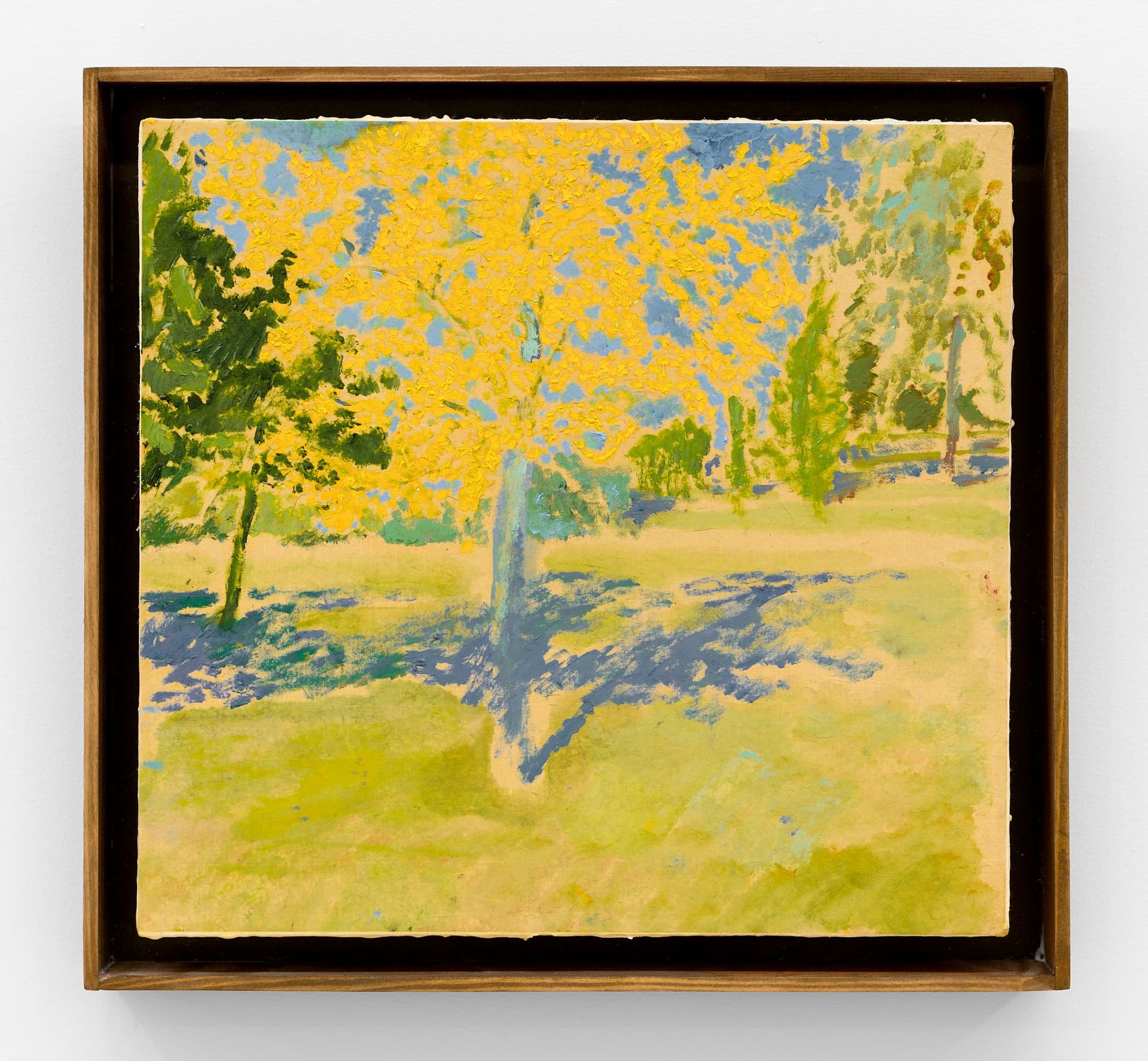 Nathan Harbonn, Untitled