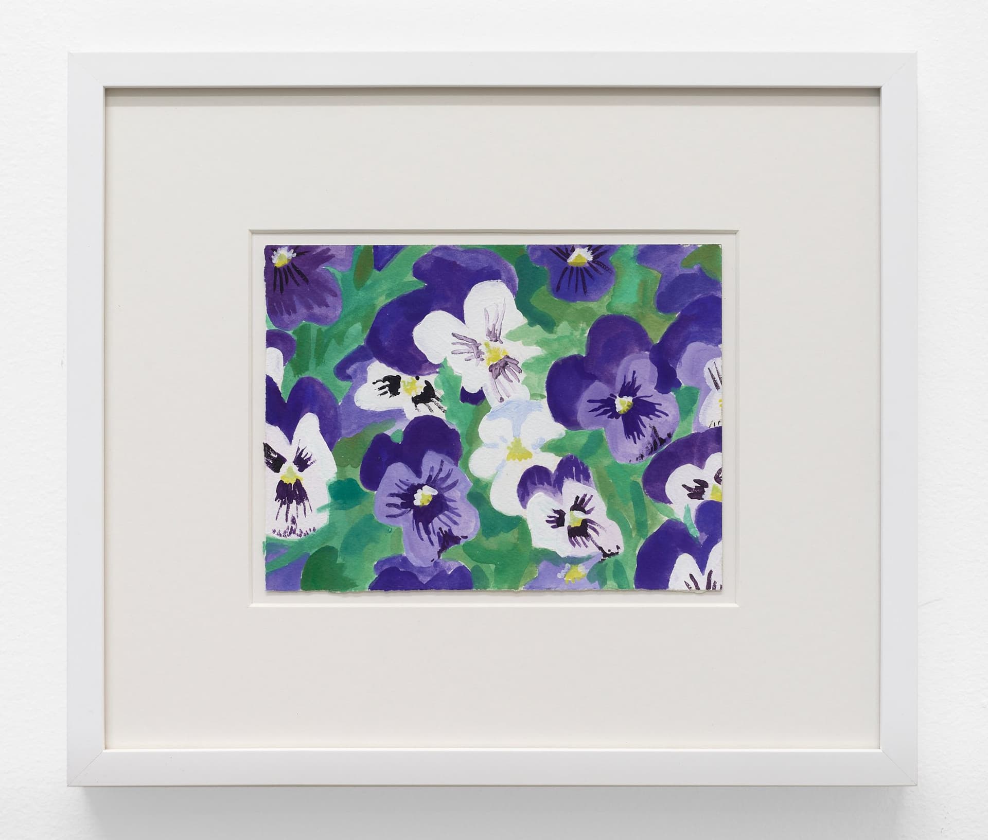 White and Purple Pansies