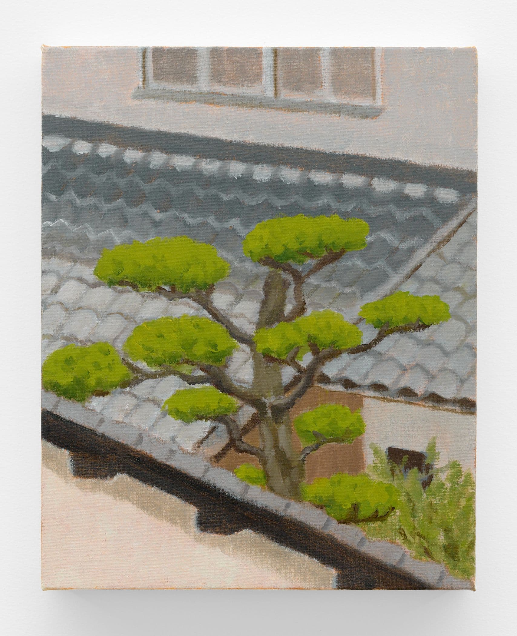 Roofs and Pine, Miho Ichise