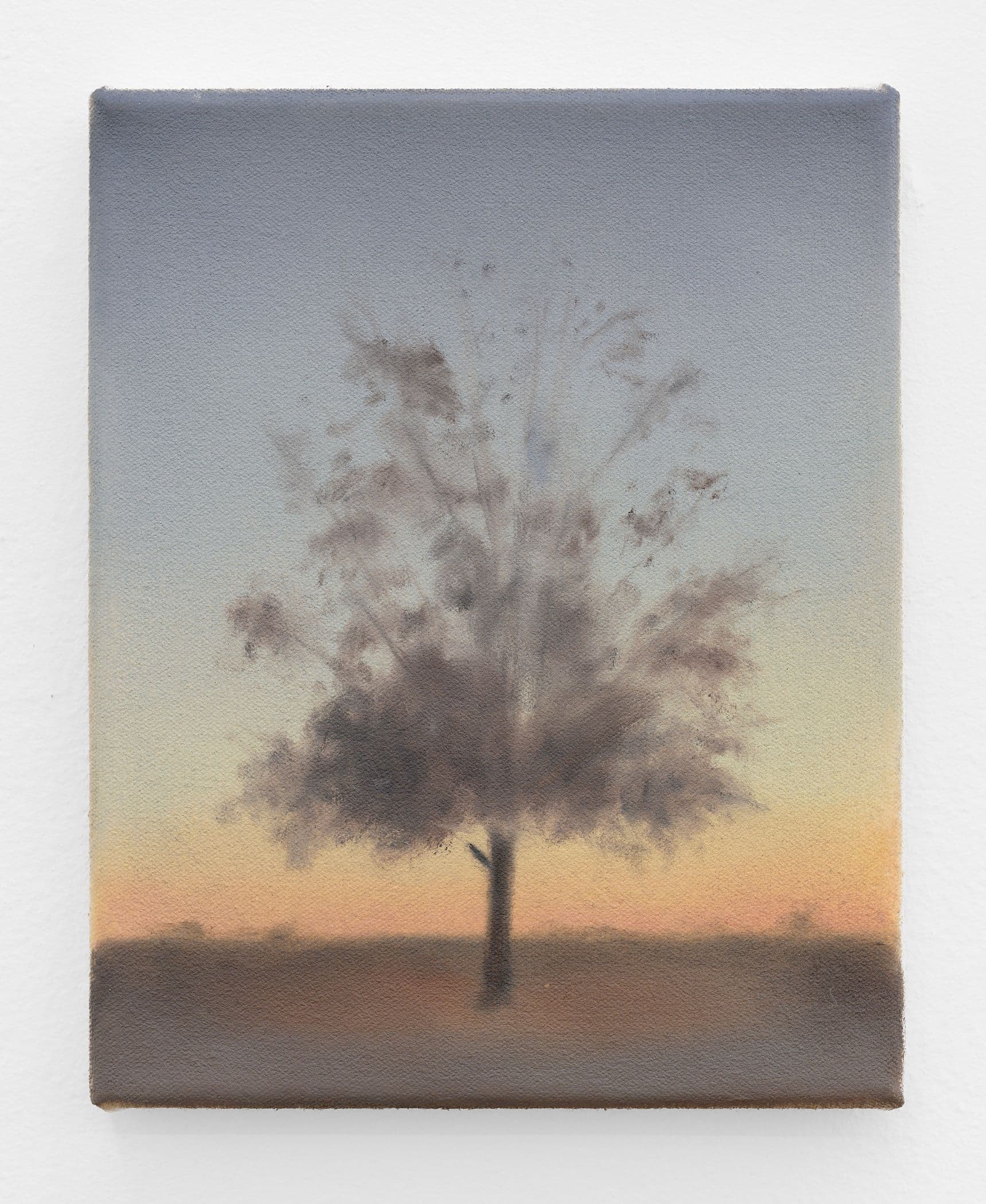 Burnt Flowers Fallen