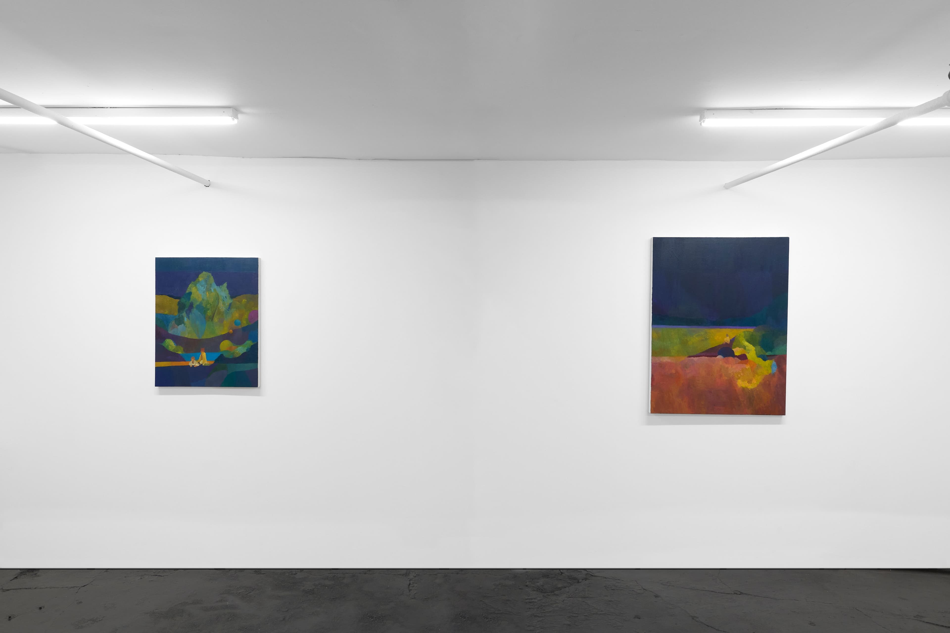 Rowley Haynes & Daniel Um, installation images