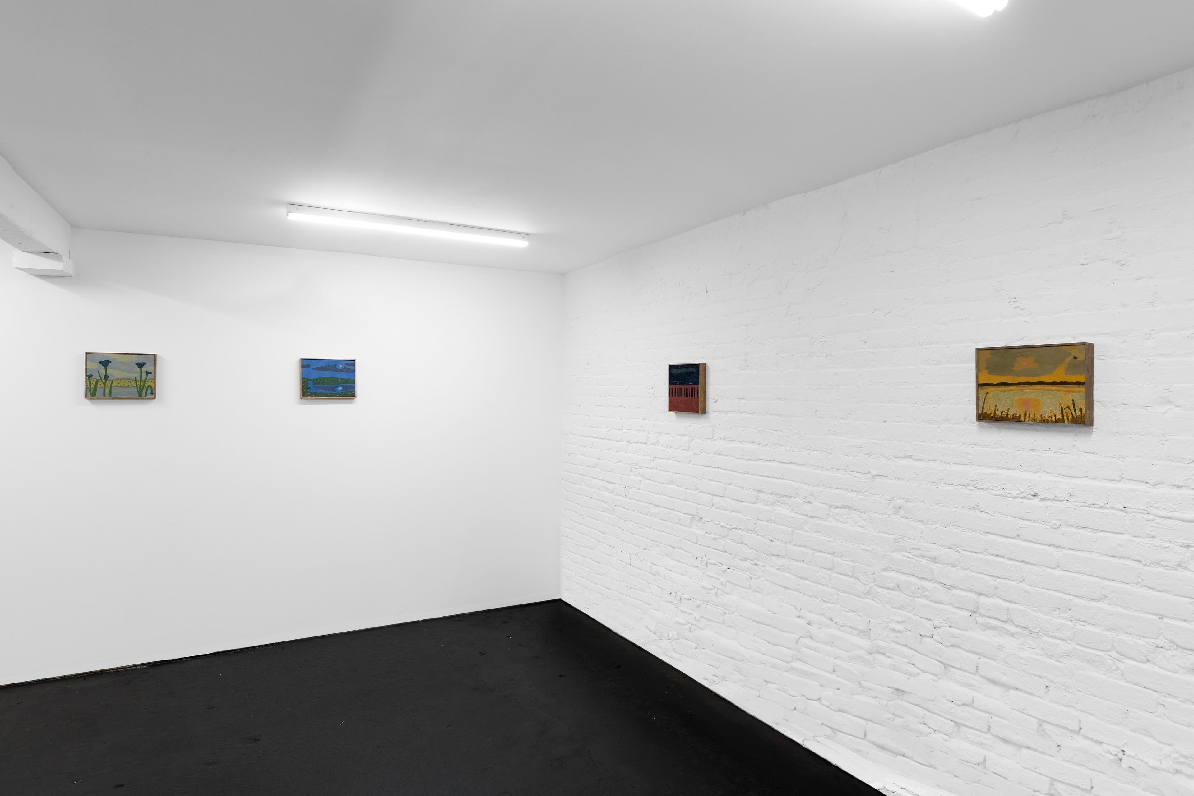 Installation view, Tony Huynh, A Summer's Dream