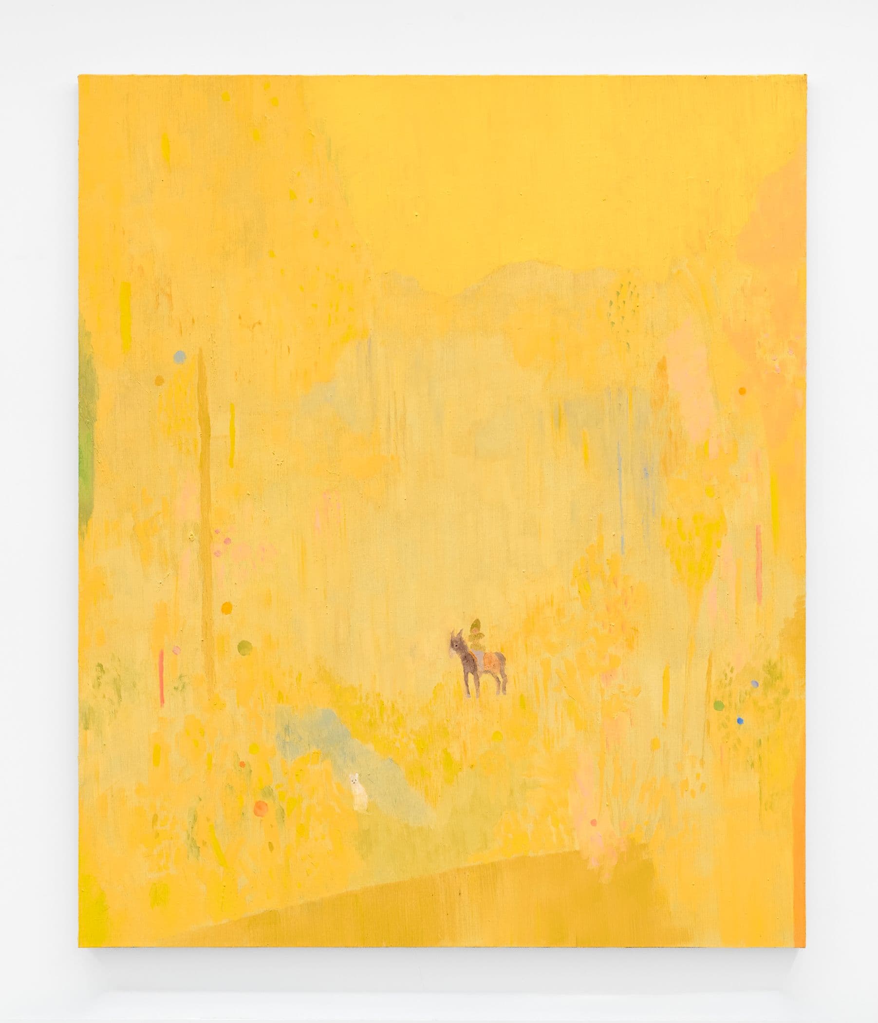 Donkey