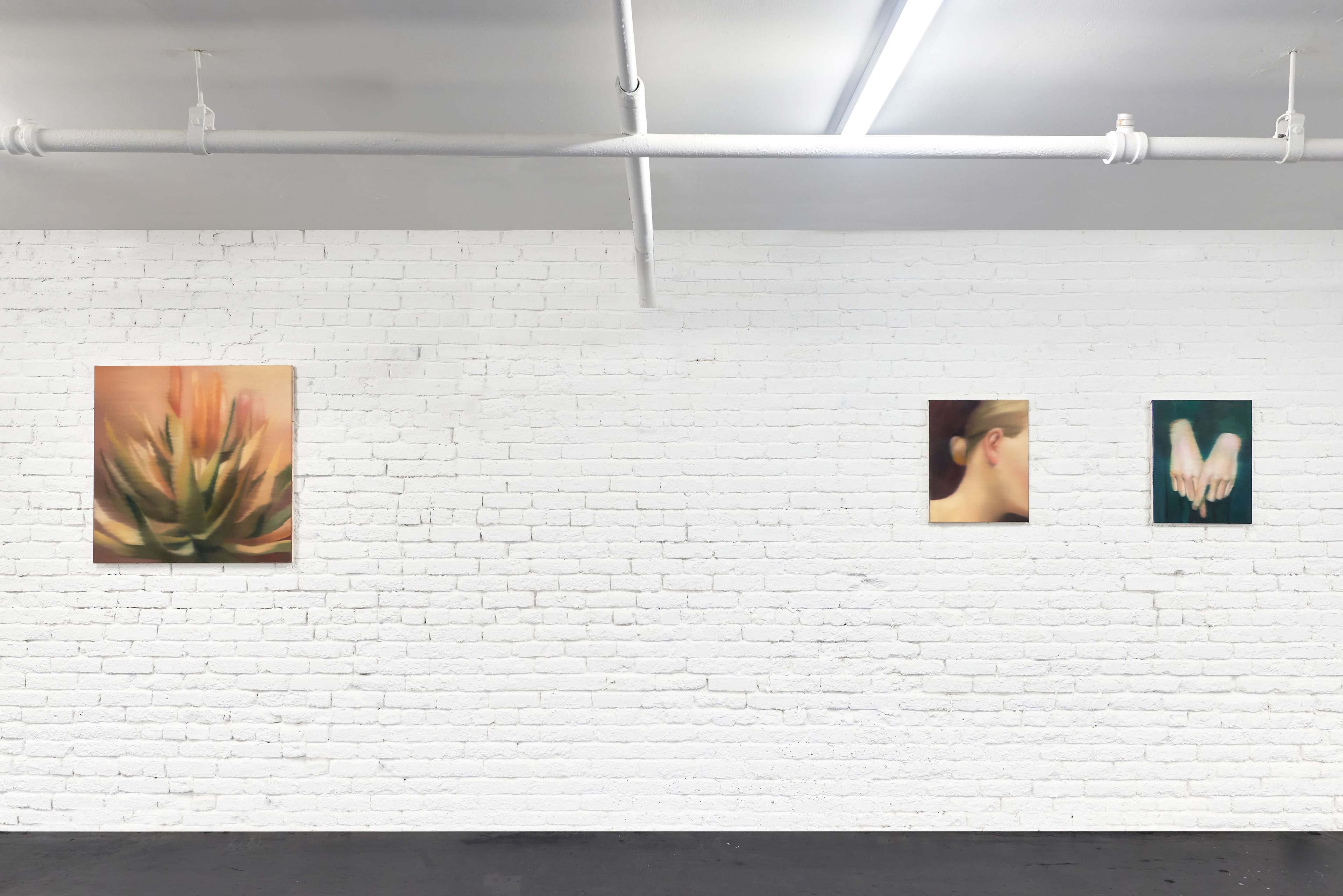 Installation view: Hidetaka Suzuki, Kanae Takeuchi, Johanna Bath