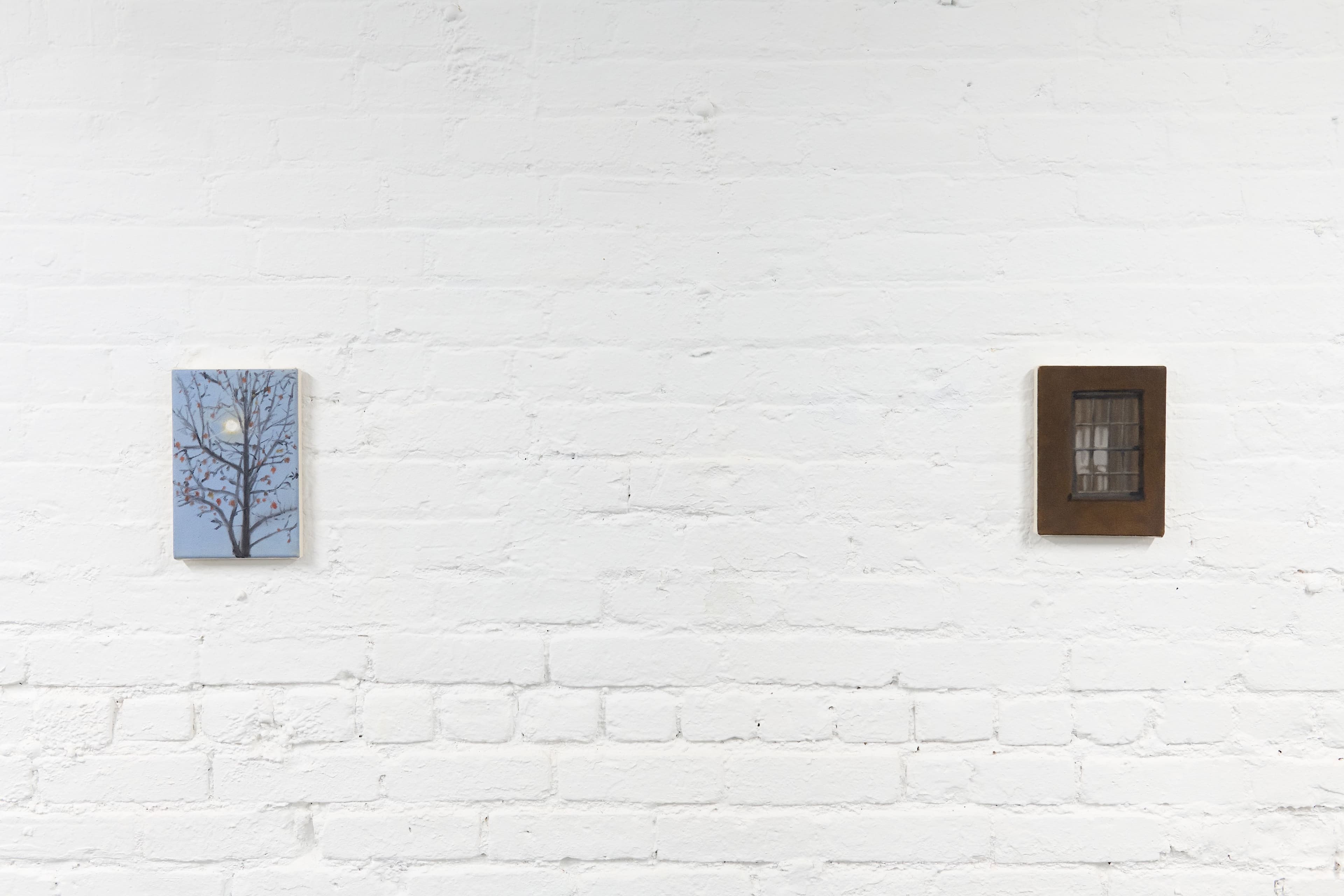 Installation views James Morse & Dylan Williams