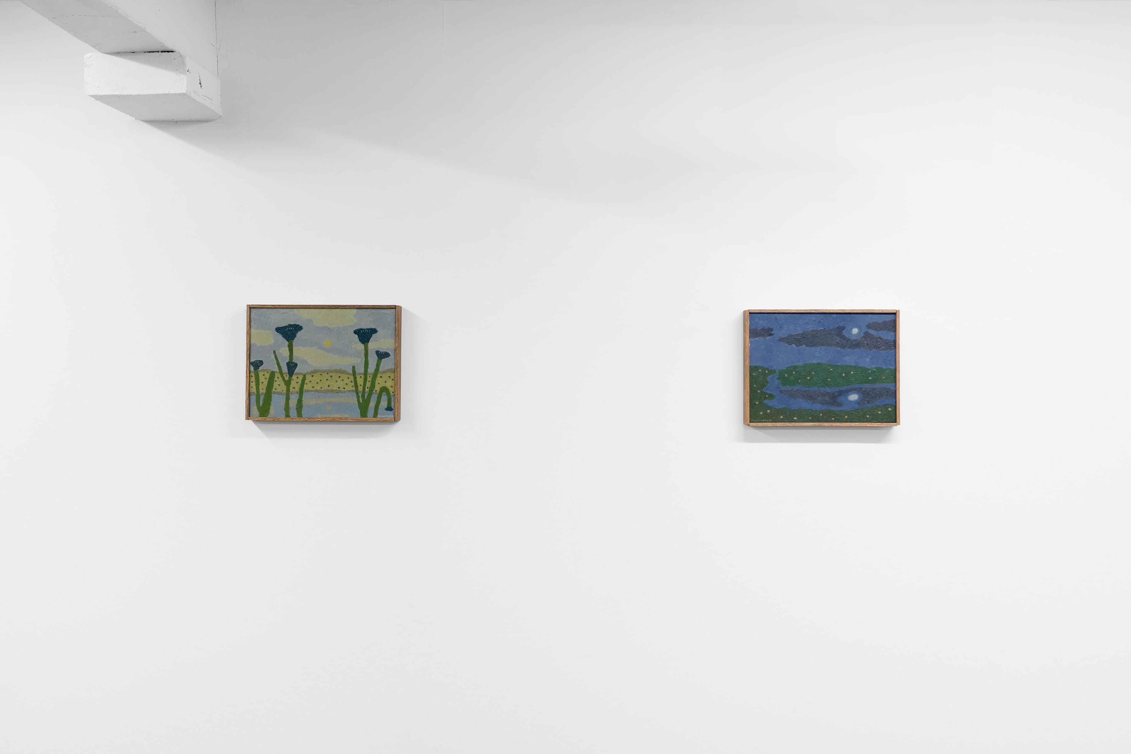 Installation view, Tony Huynh, A Summer's Dream