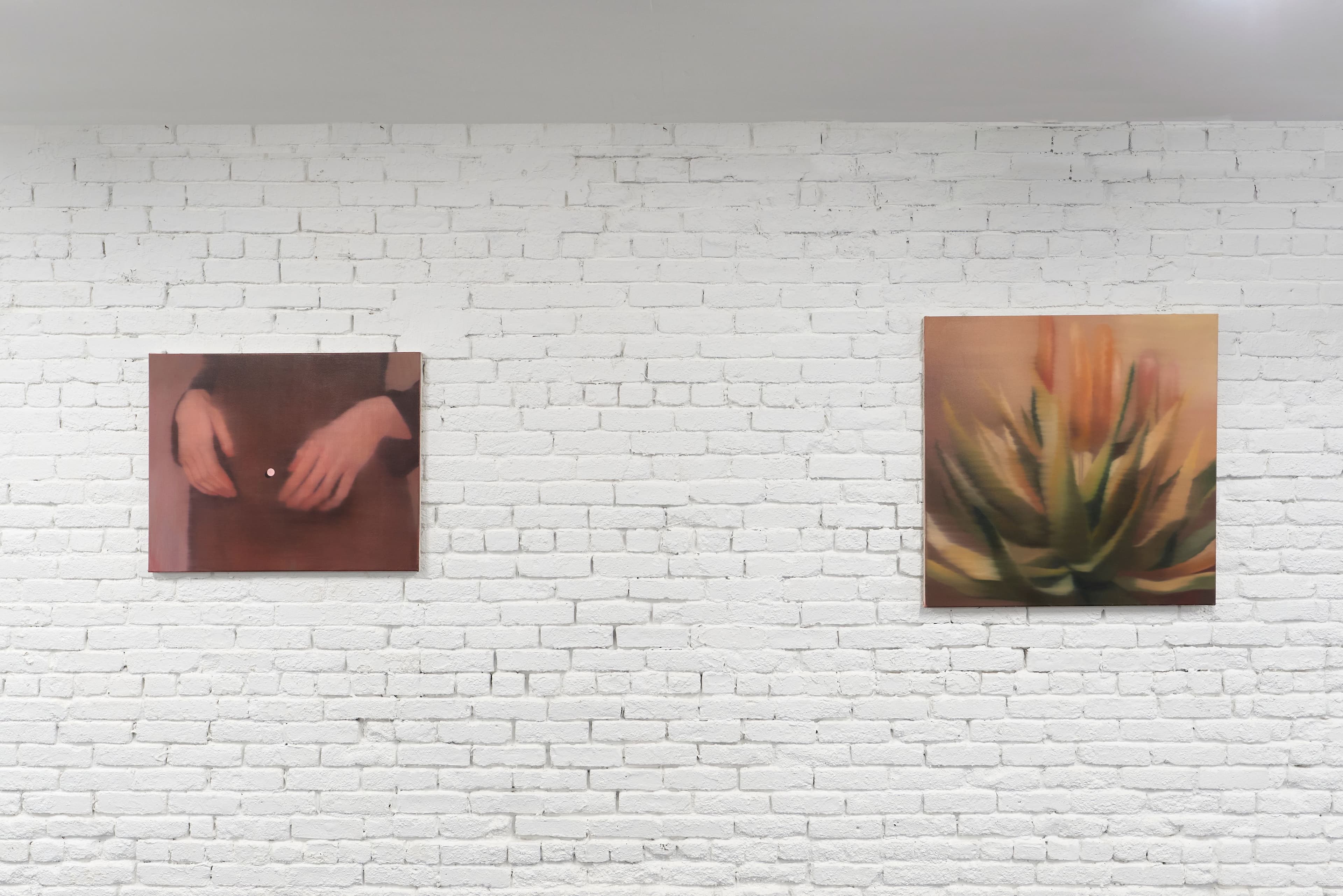 Installation view: Hidetaka Suzuki, Kanae Takeuchi, Johanna Bath