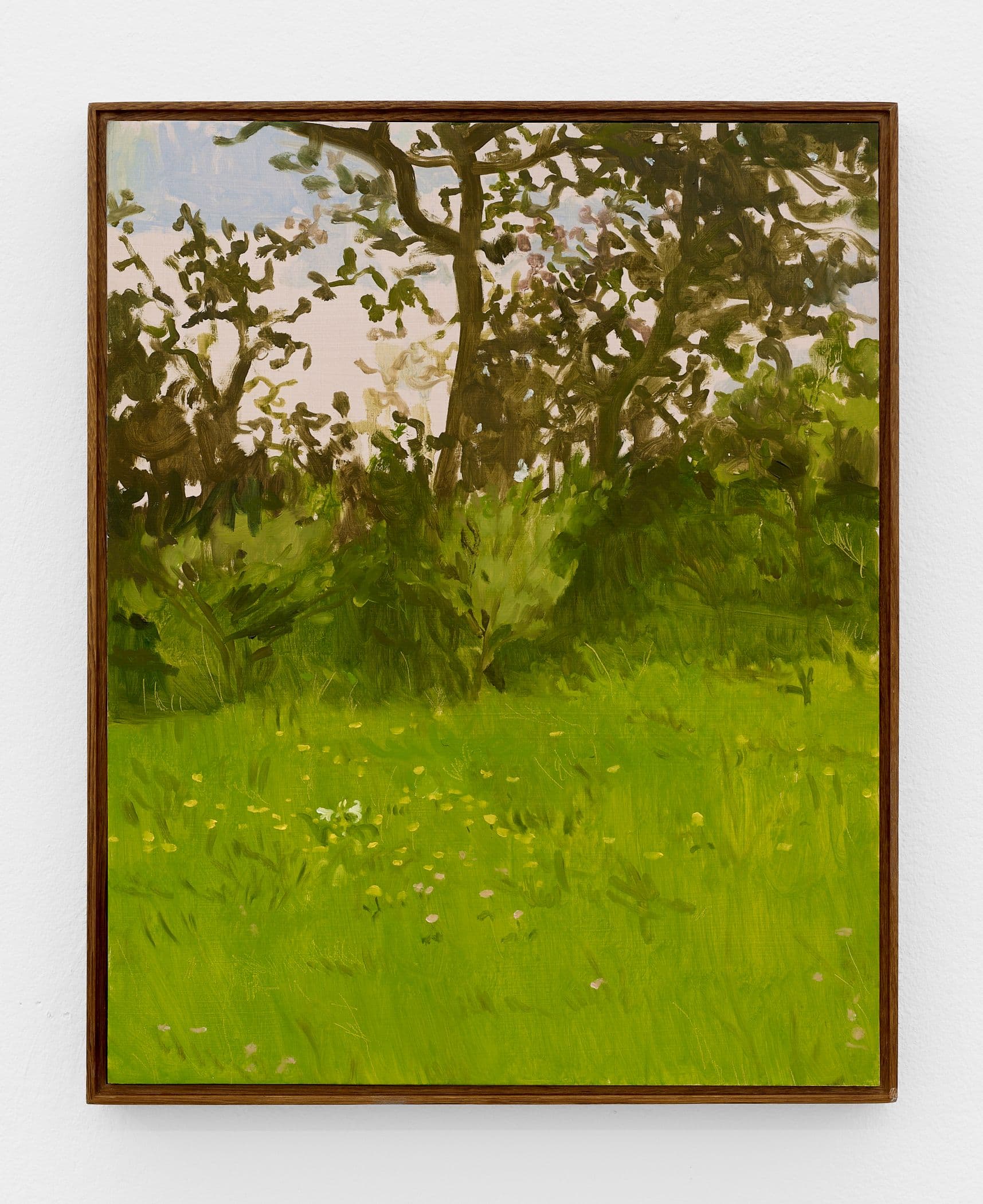 Lirios, Dientes de León