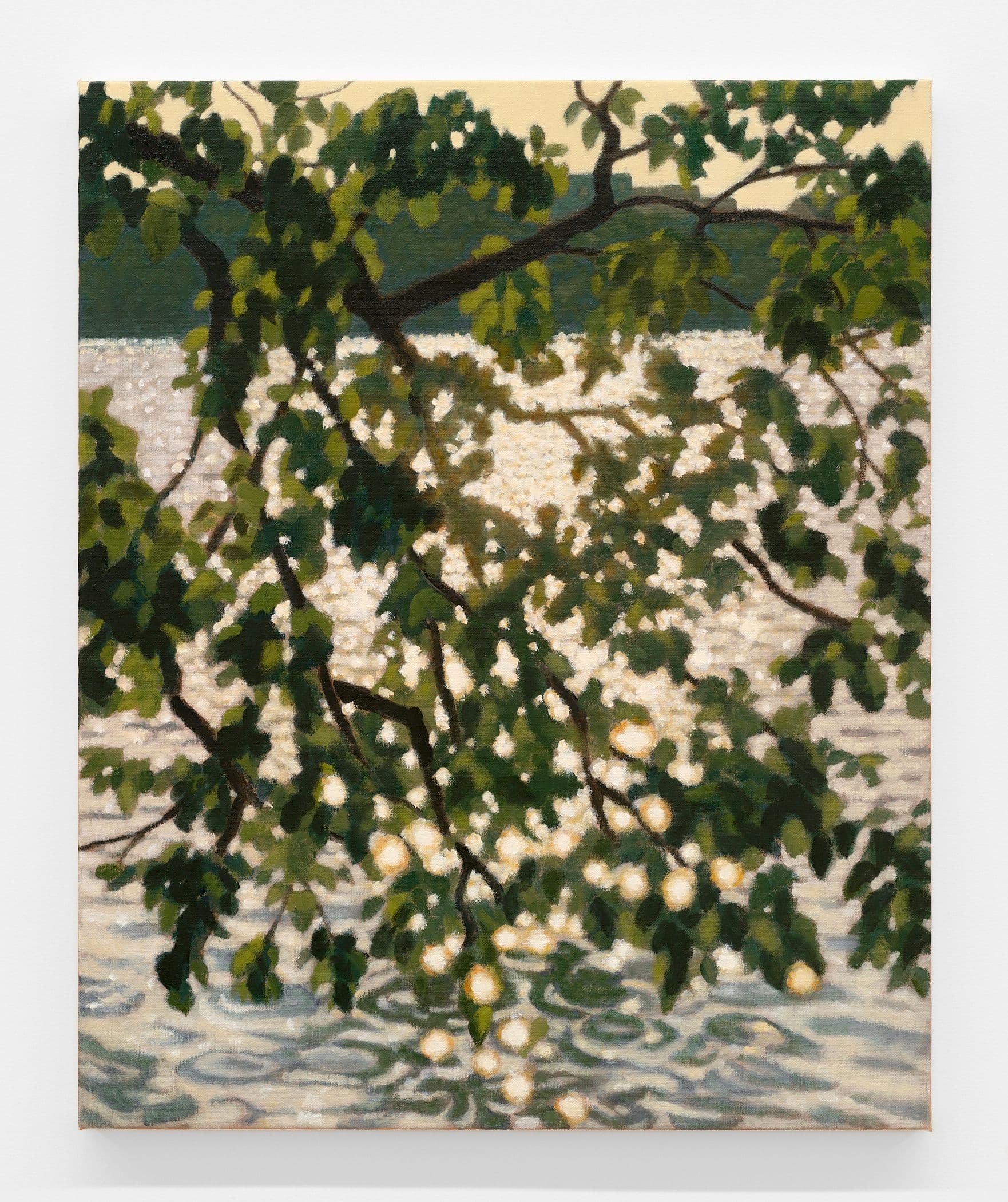 Shimmering Rhythm