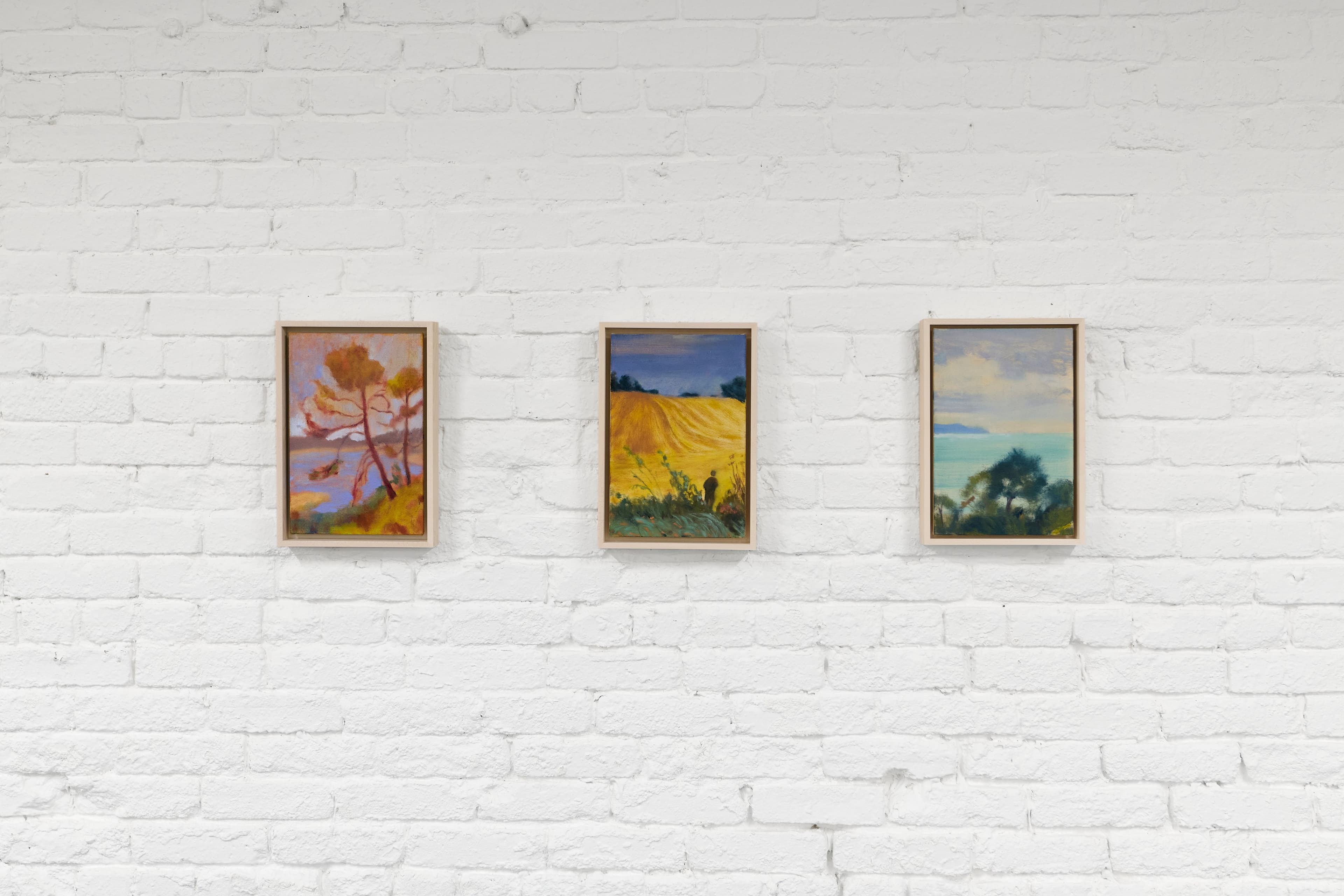 Installation view Sammi Lynch & Kayoon Anderson