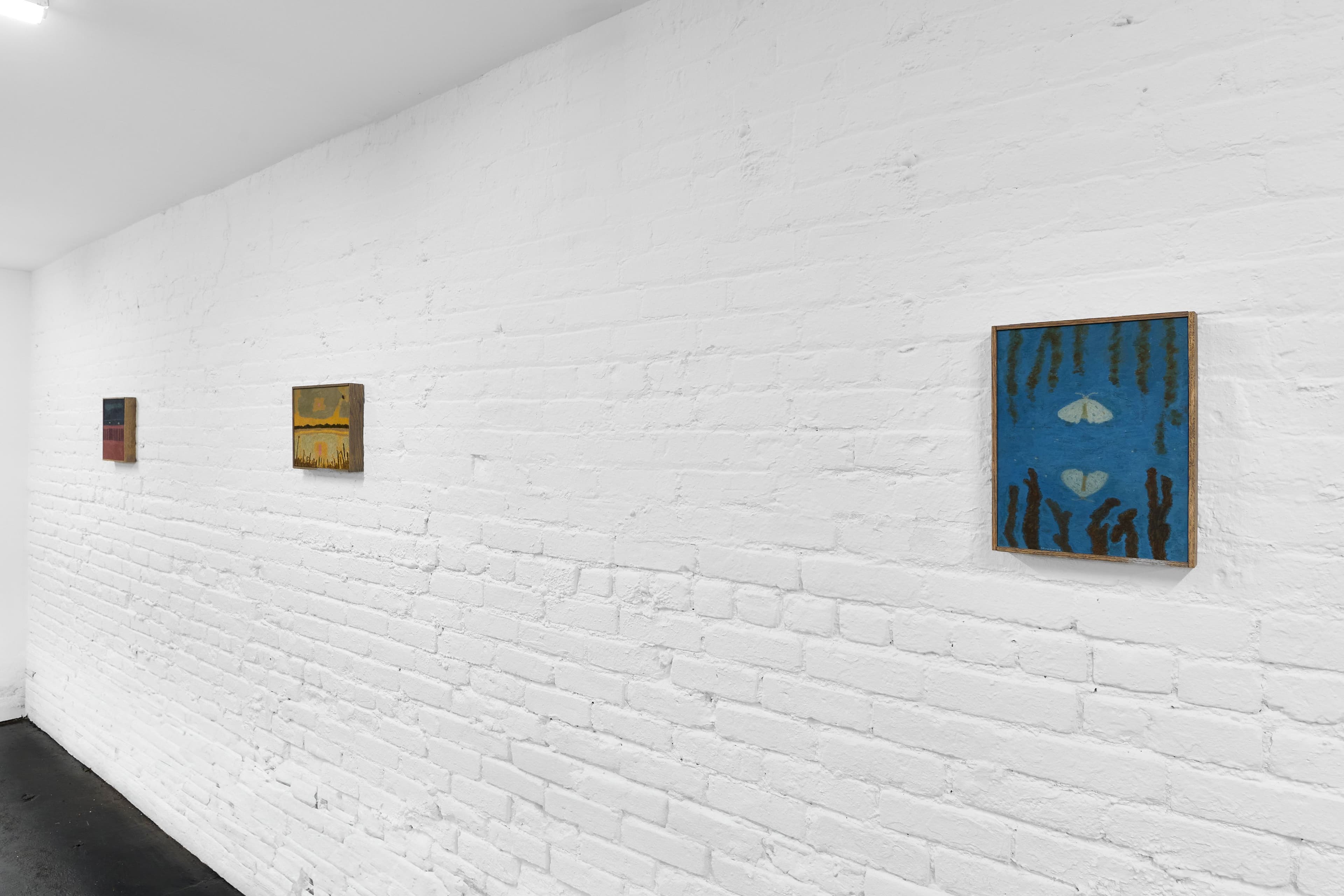 Installation view, Tony Huynh, A Summer's Dream