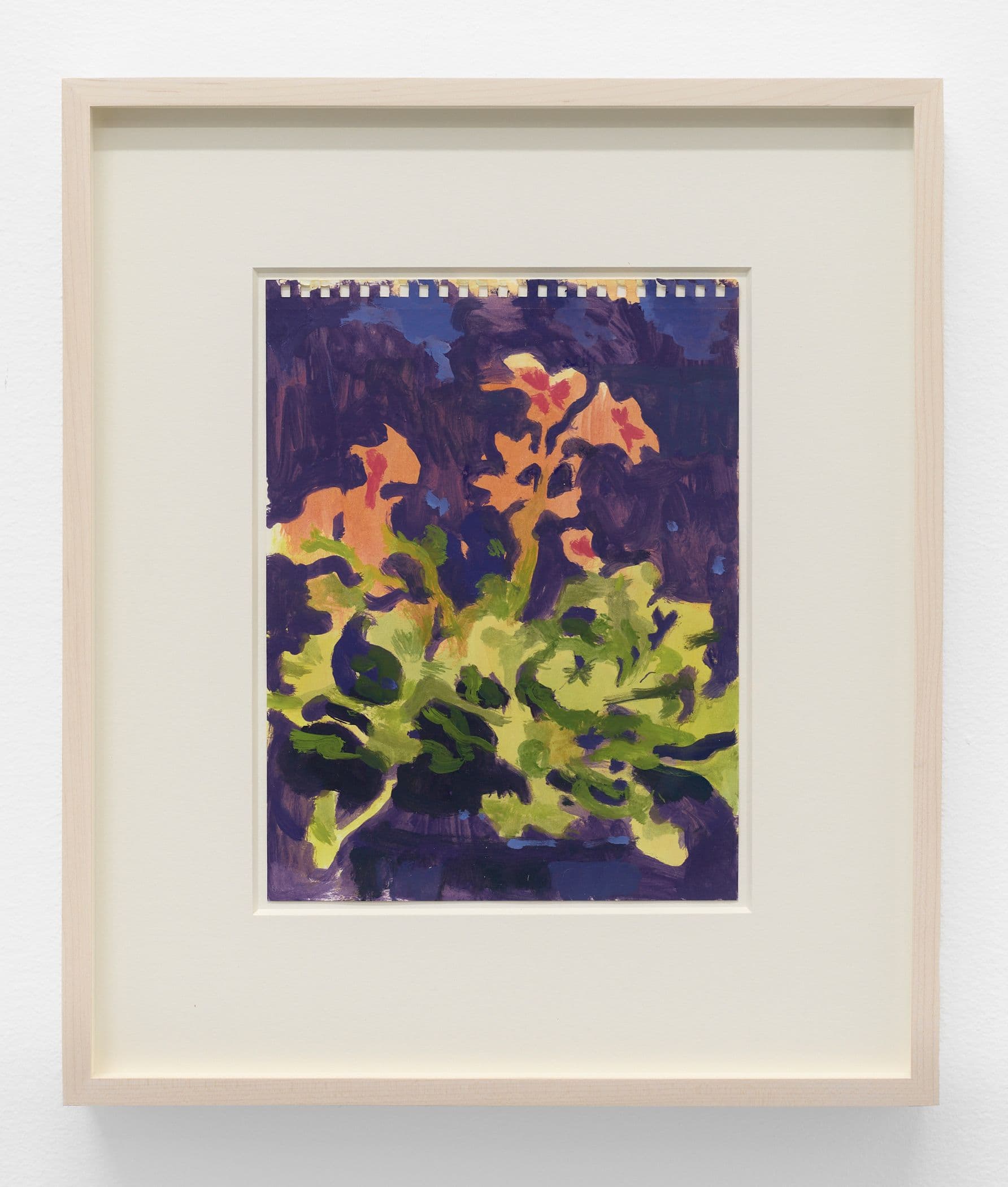 Pensamientos (Pansies)