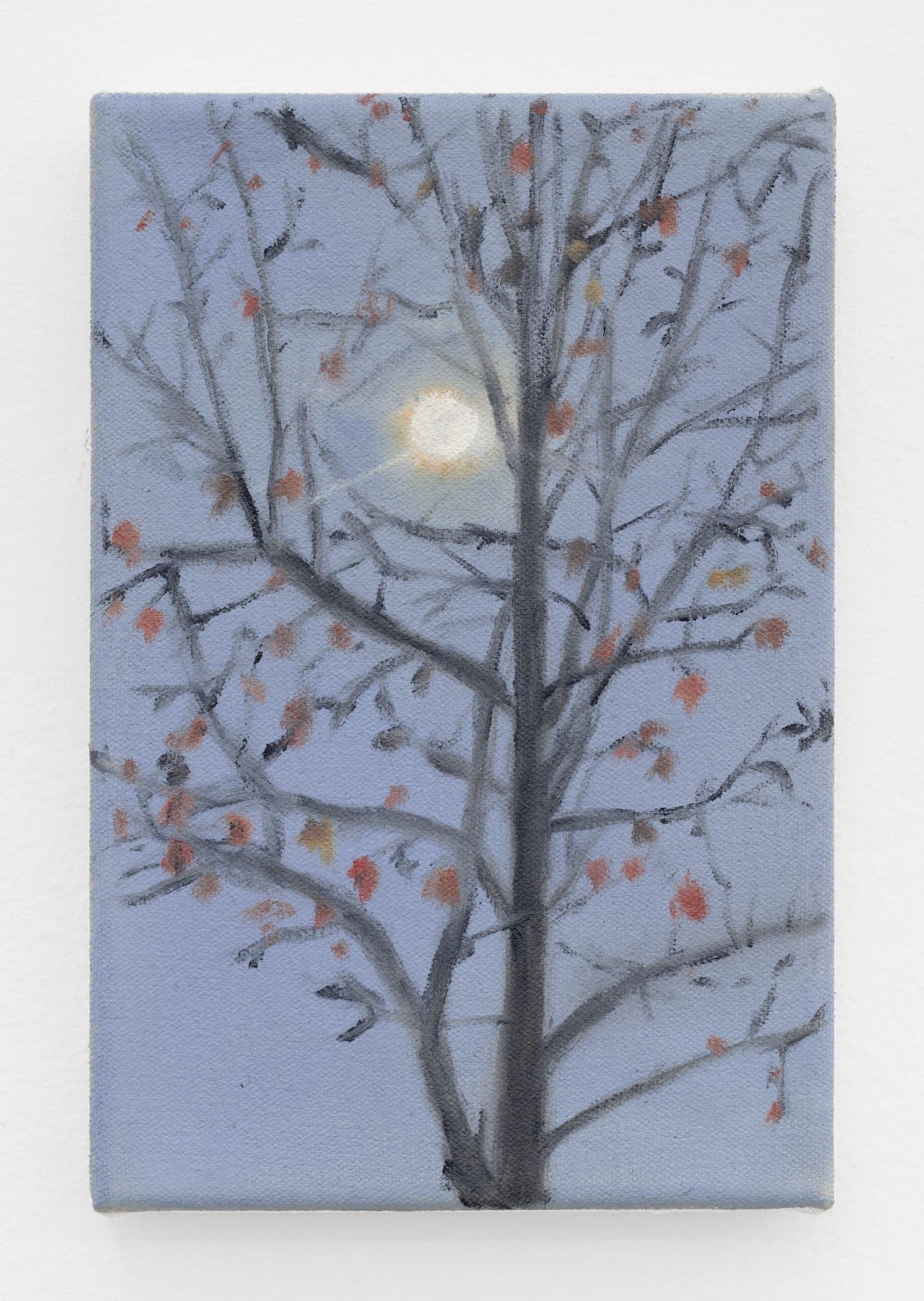 Setting Leaves On Fire