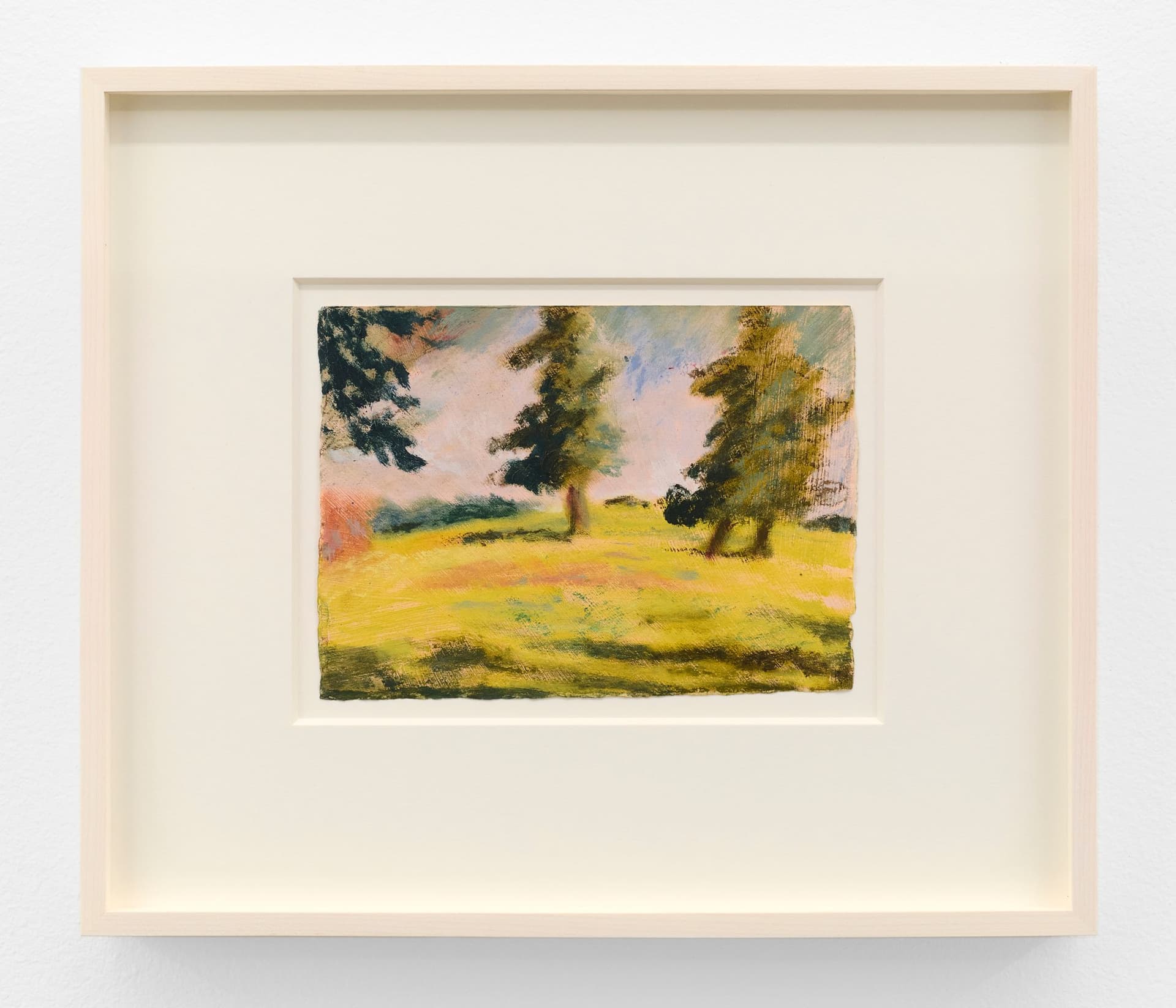 Trees in the Sunlight