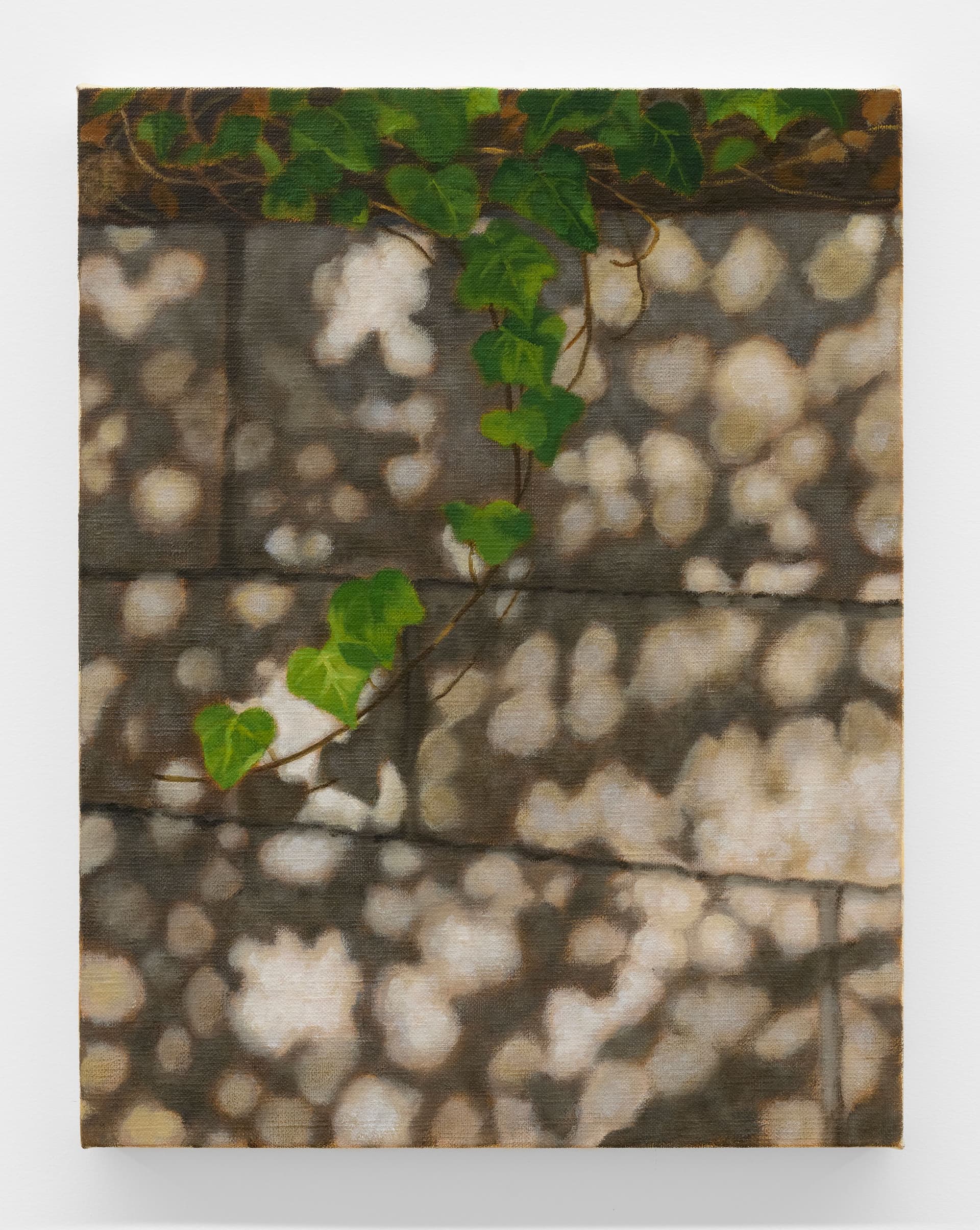 Swaying Ivy, Miho Ichise