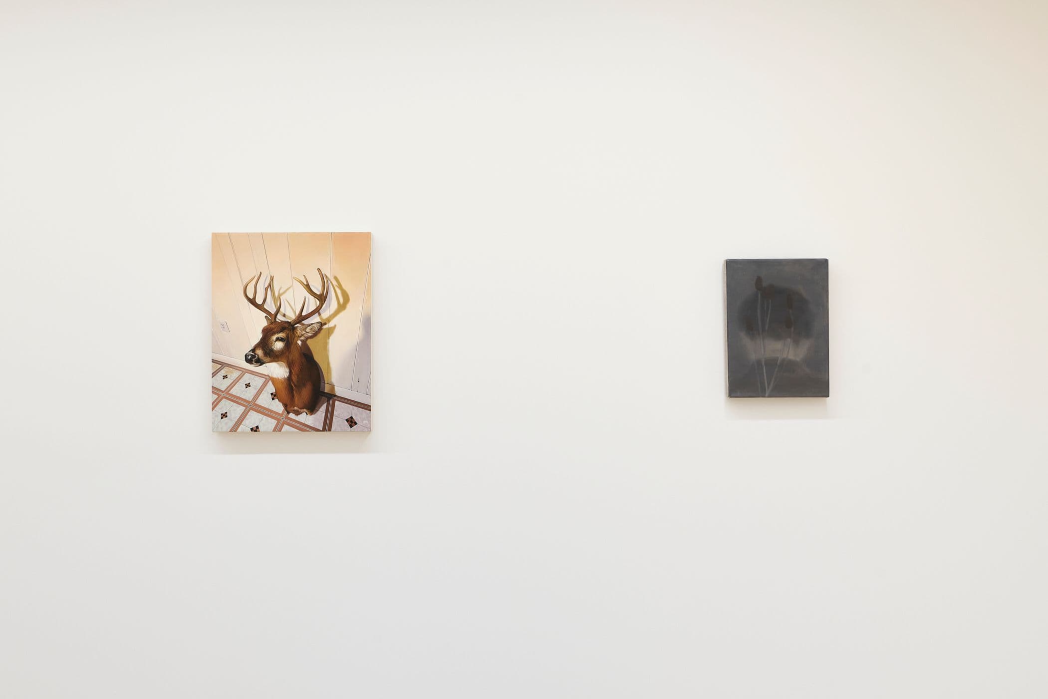 Installation image, grand opening