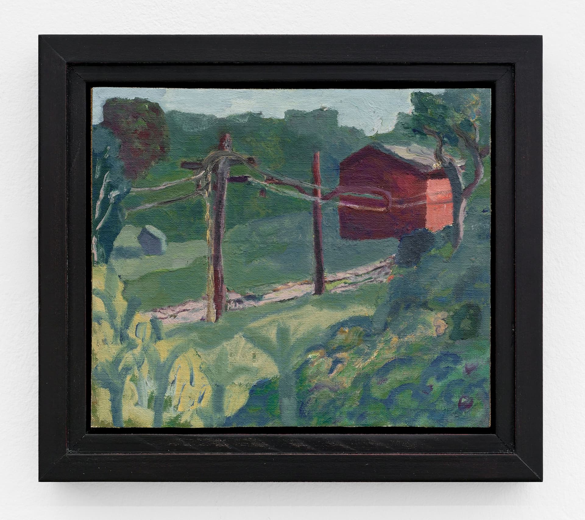 Hill above RTA Tracks