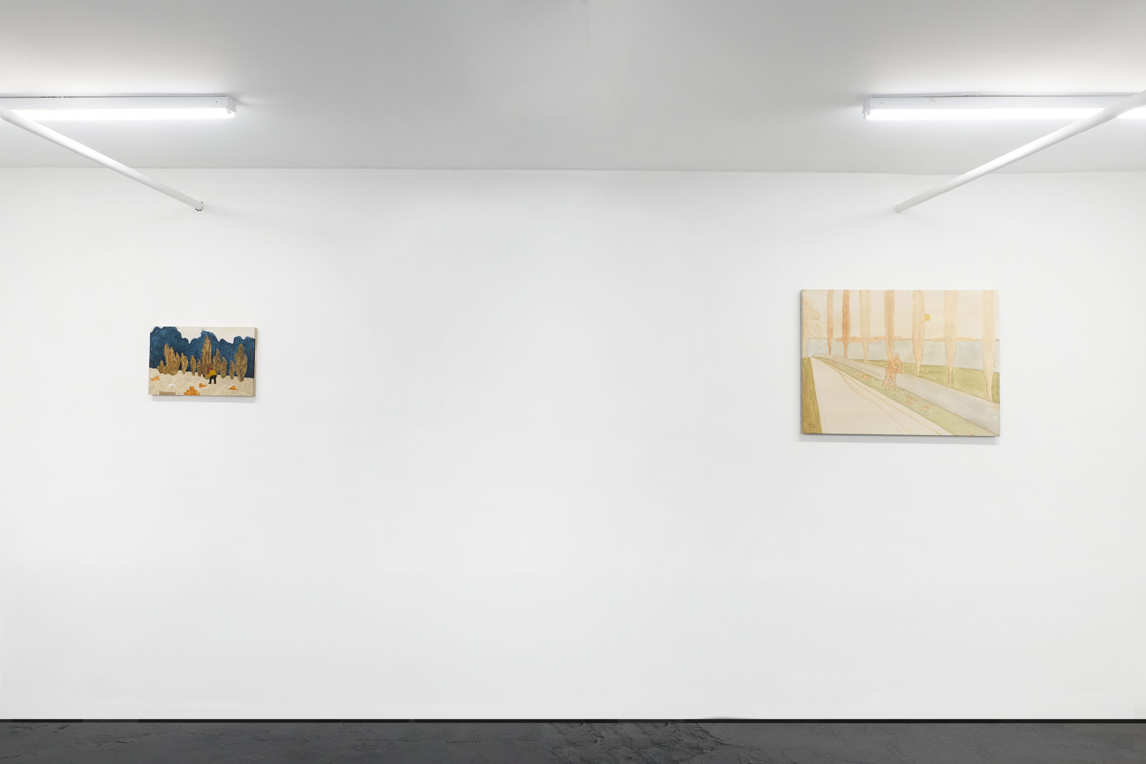 Installation views James Morse & Dylan Williams