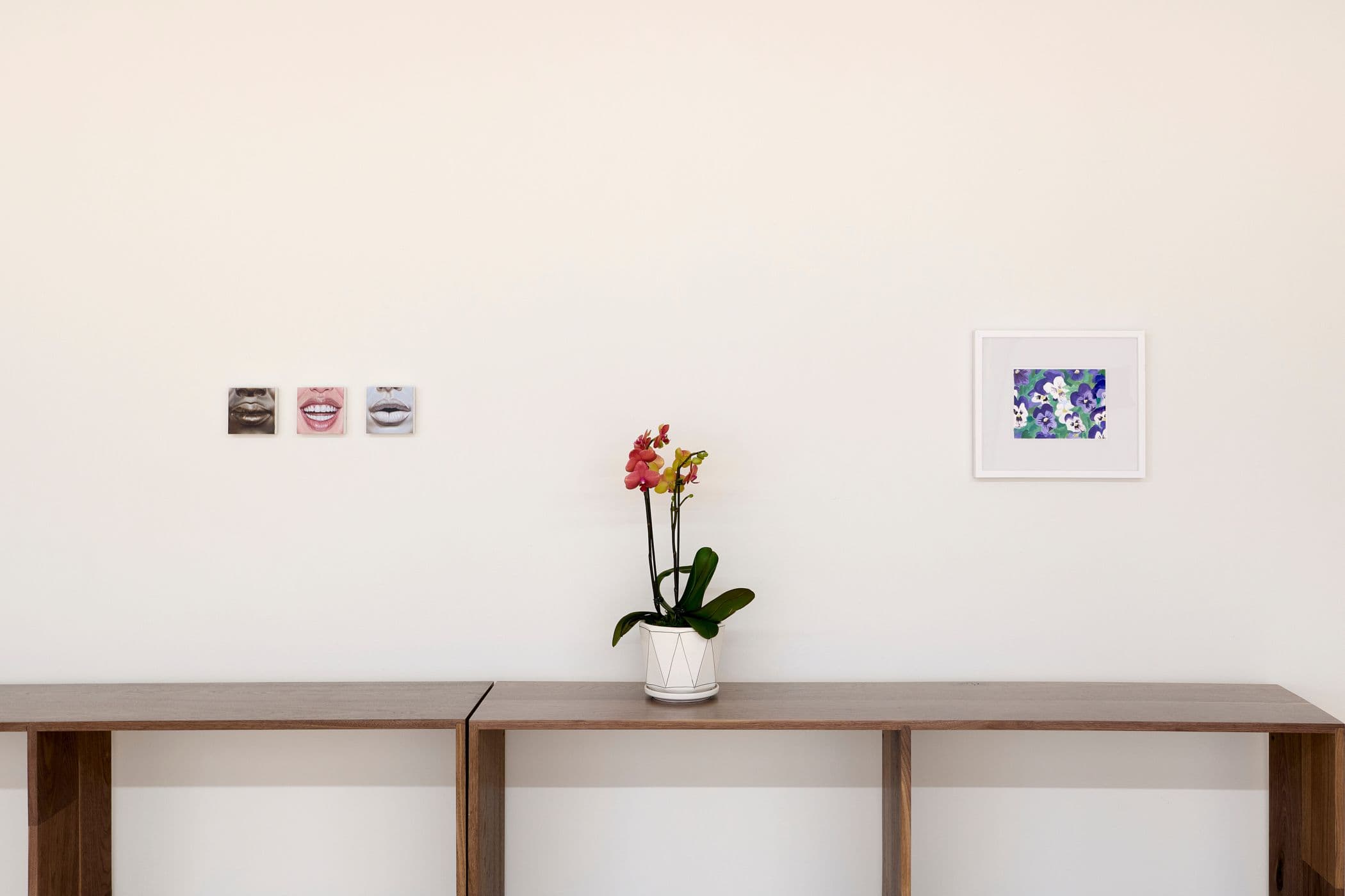 Installation image, grand opening