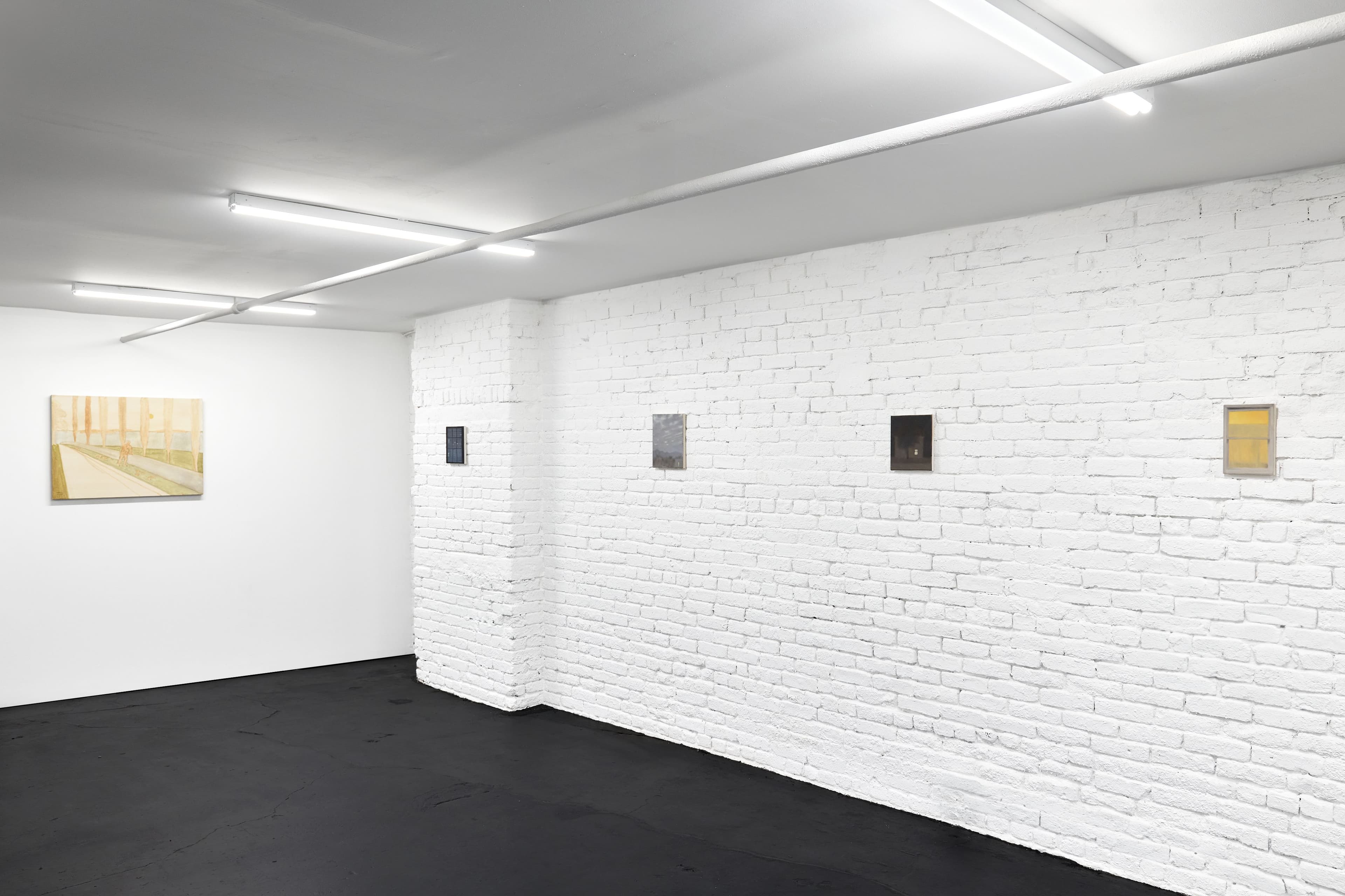 Installation views James Morse & Dylan Williams