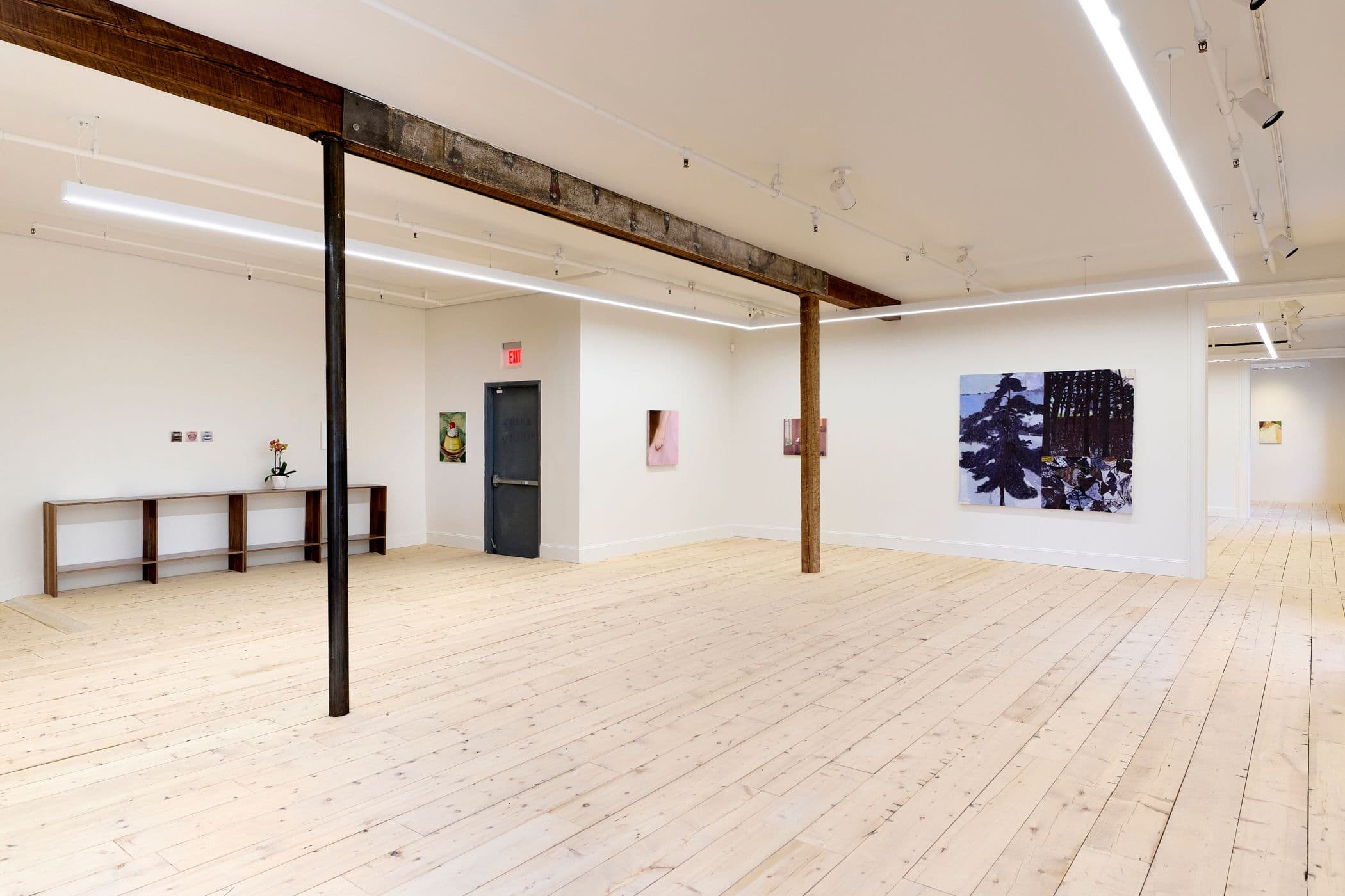 Installation image, grand opening