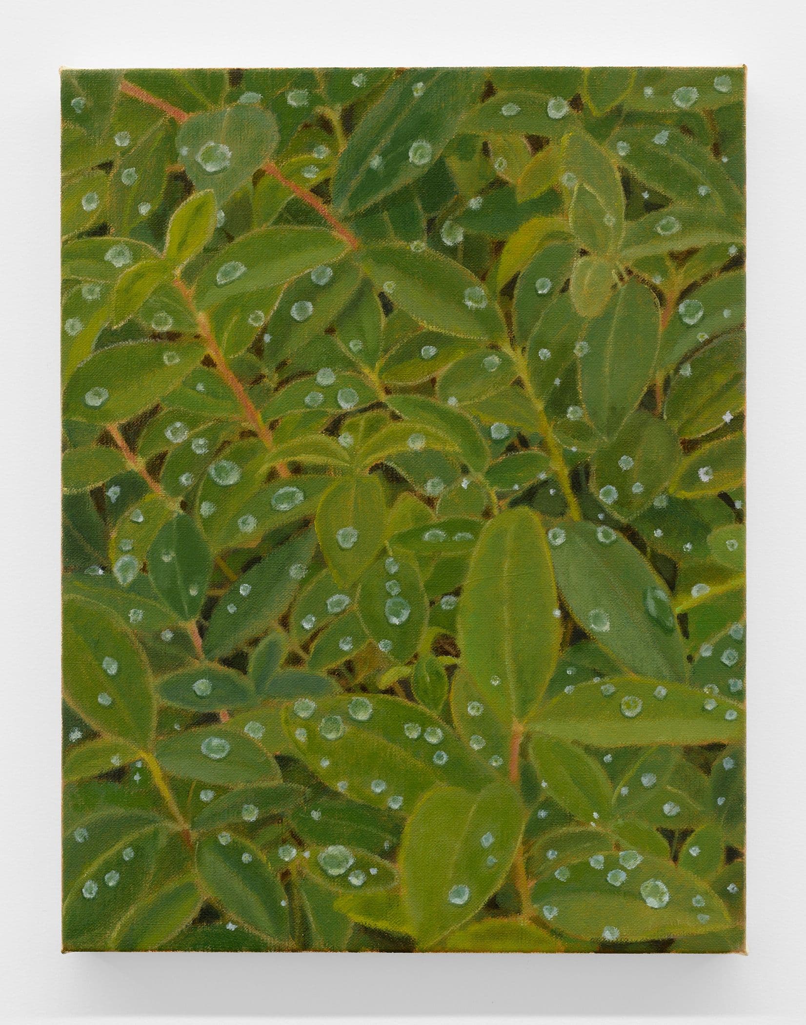 After the Heavy Rain, Miho Ichise