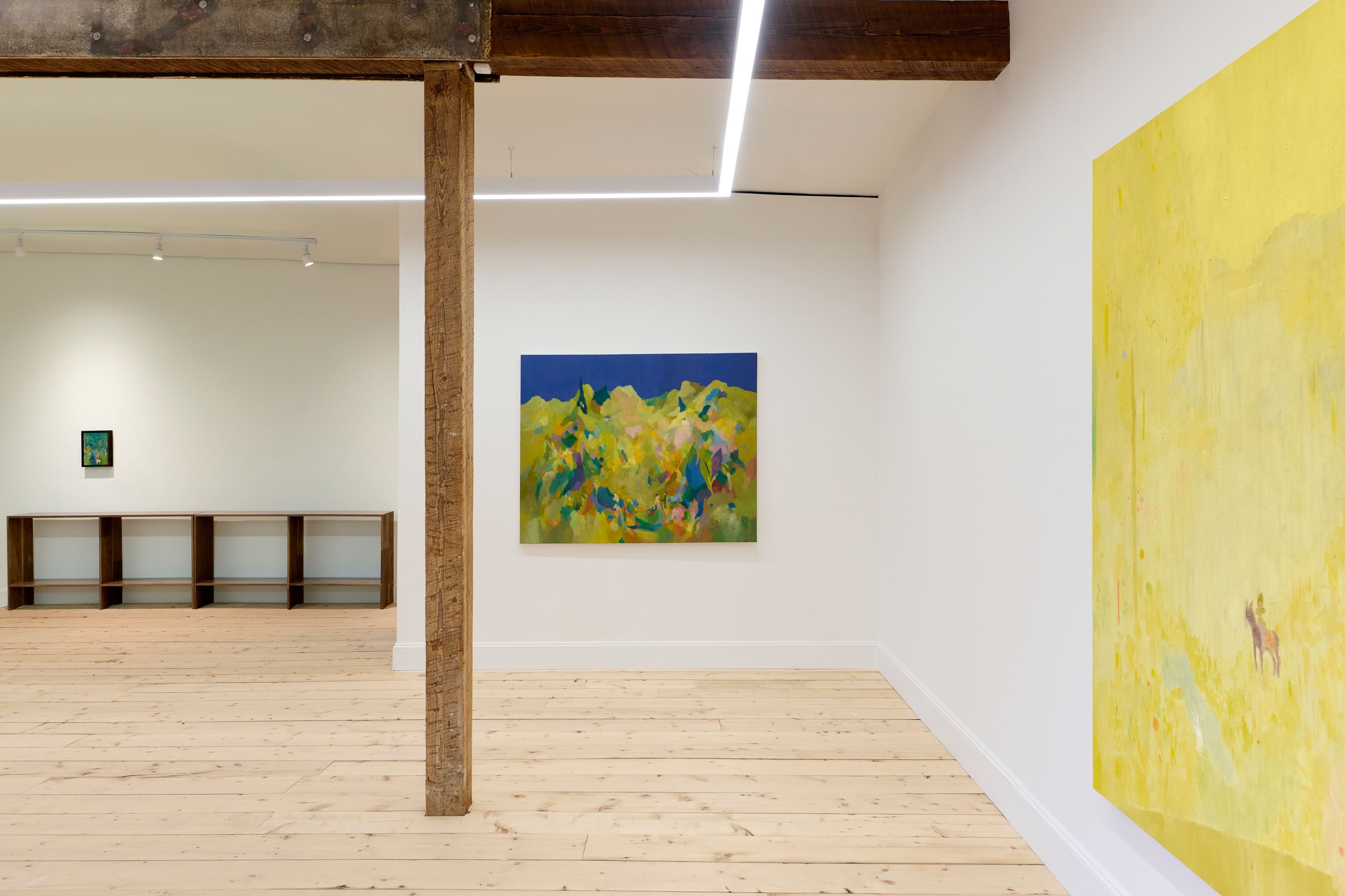 Daniel Um installation view