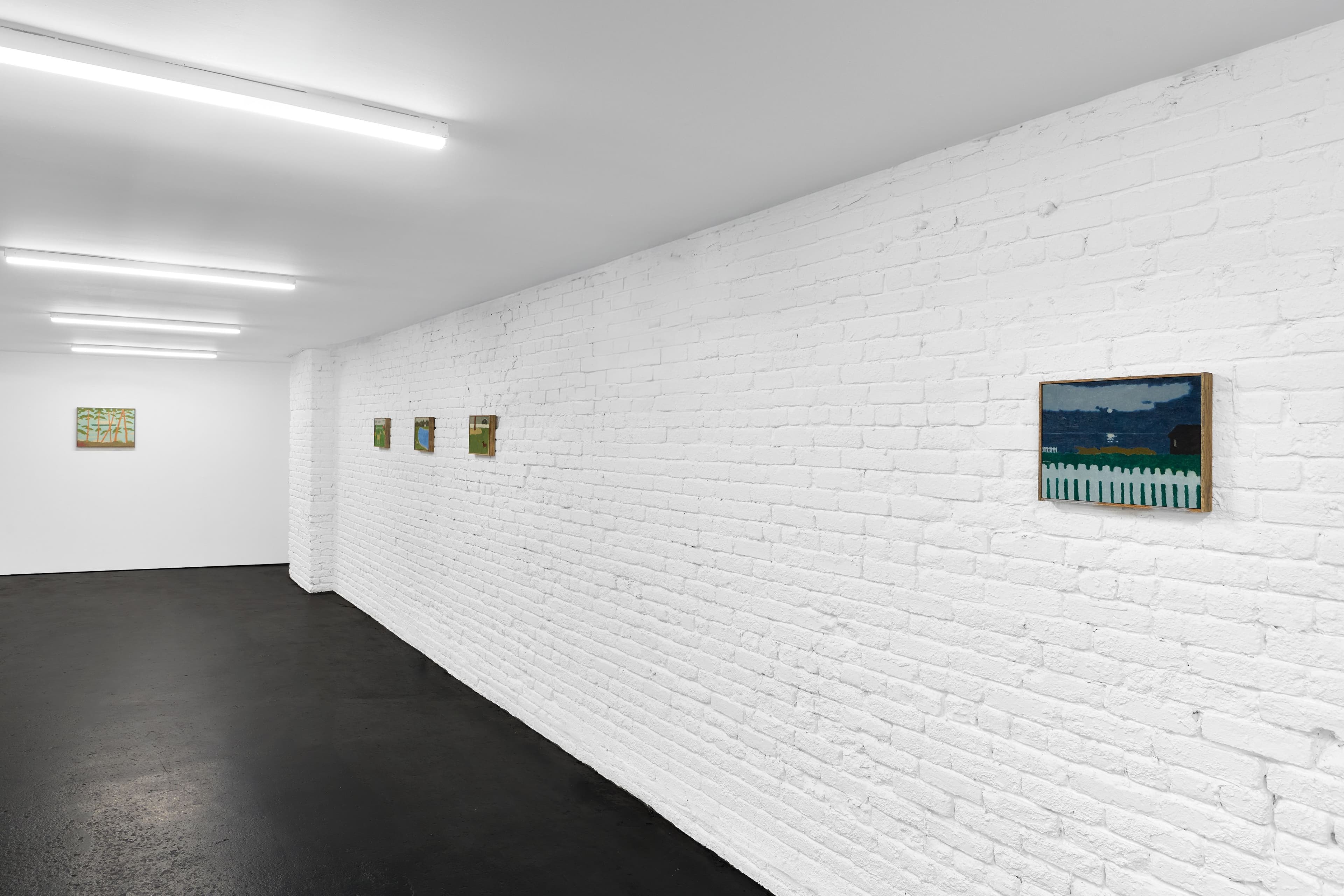 Installation view, Tony Huynh, A Summer's Dream