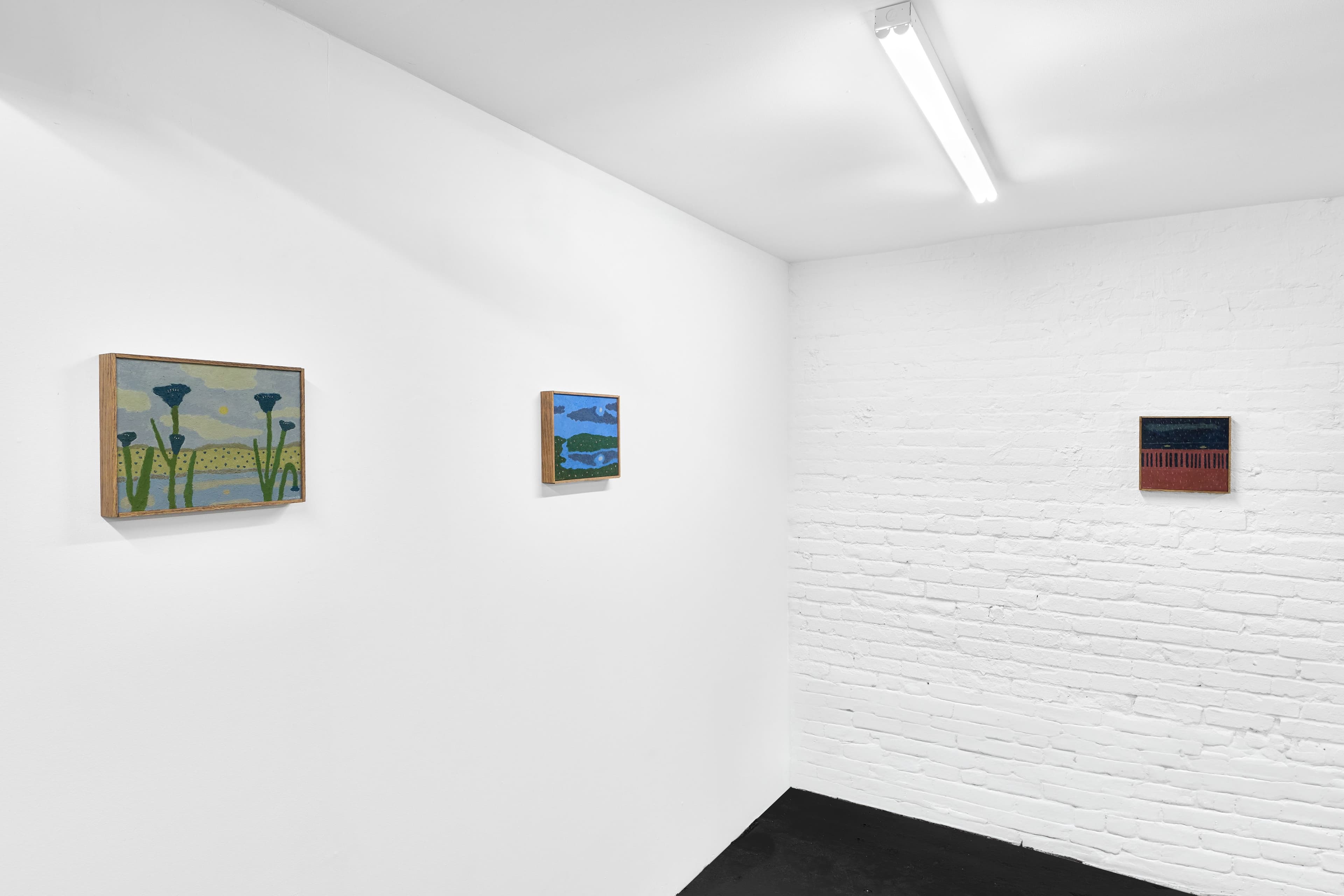 Installation view, Tony Huynh, A Summer's Dream